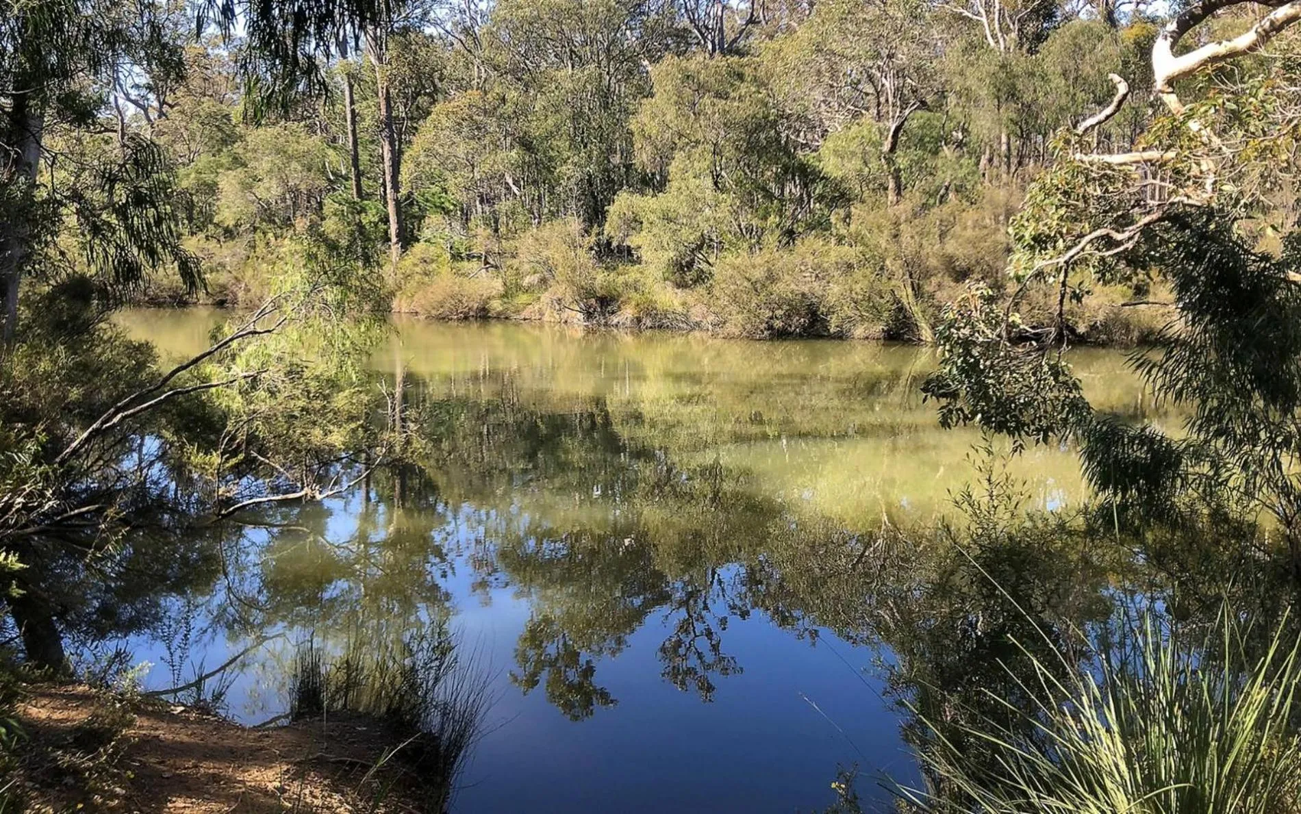 Floor plan in Banyandah - Dog Friendly - Family & Groups Welcome