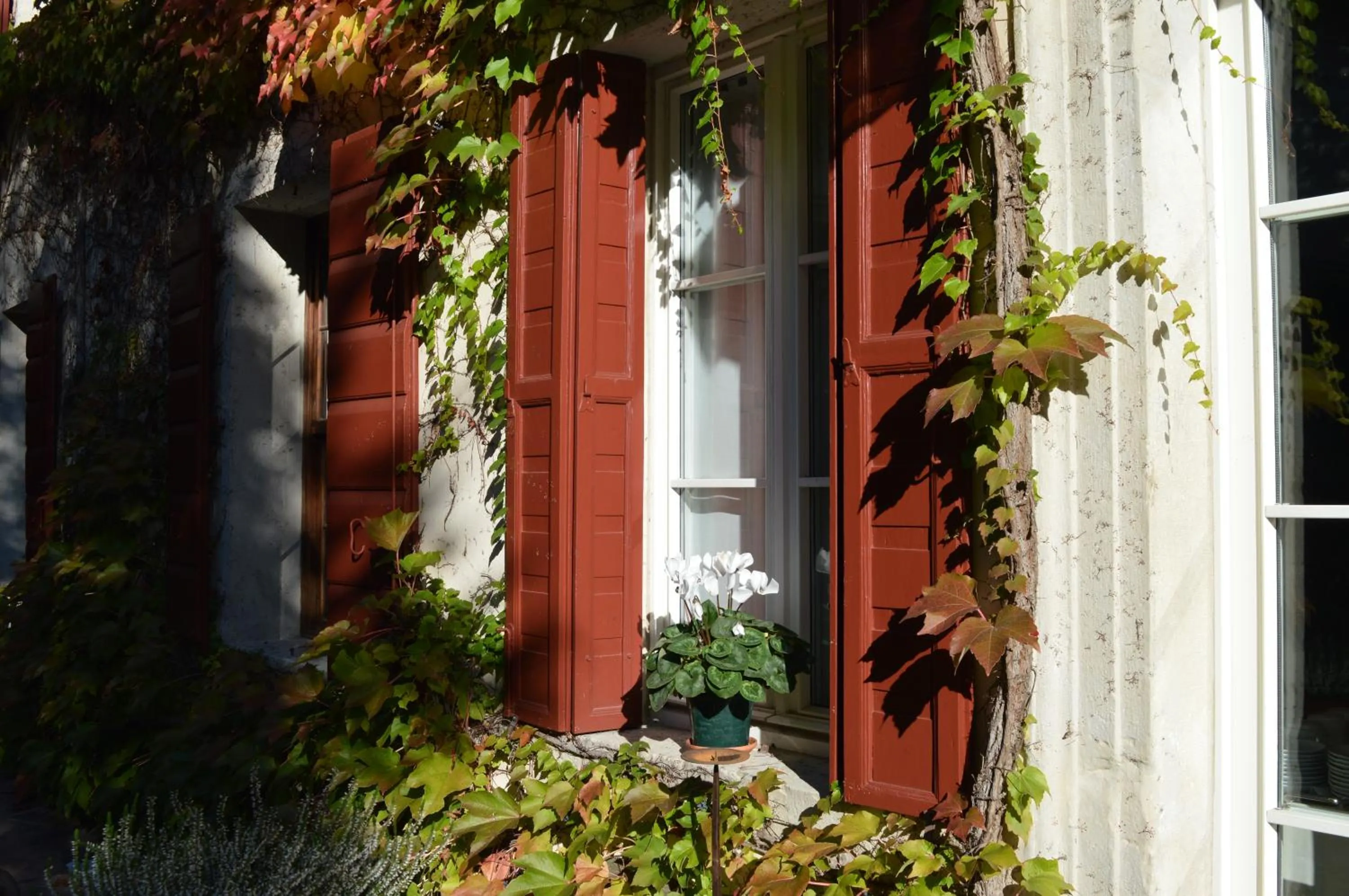 Property building in I giardini segreti di Villa Marcello Marinelli