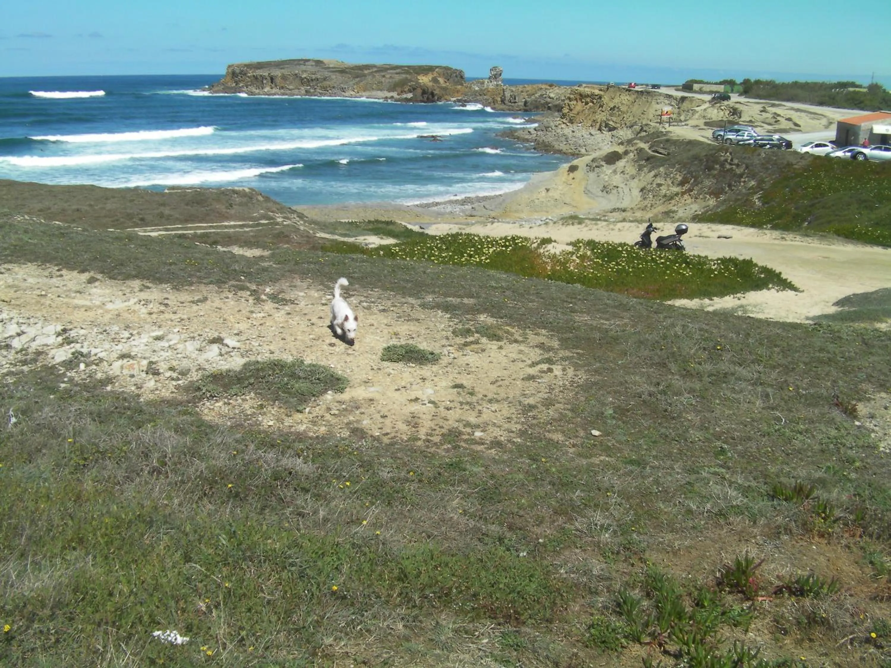 Patio in Peniche Surf Lodge 1