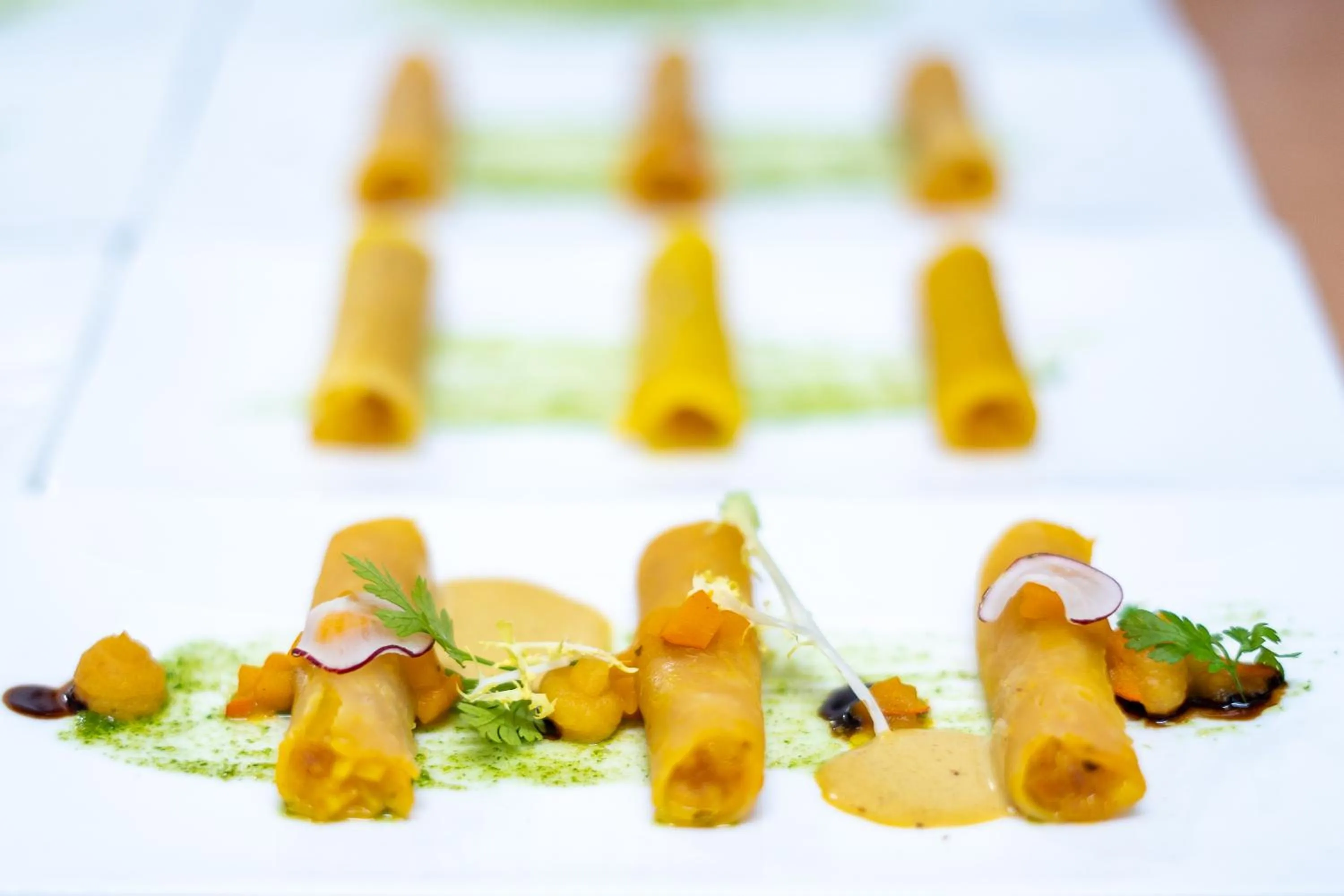 Dinner in Warias Hotel & Restaurant am Geiseltalsee - Nähe Merseburg