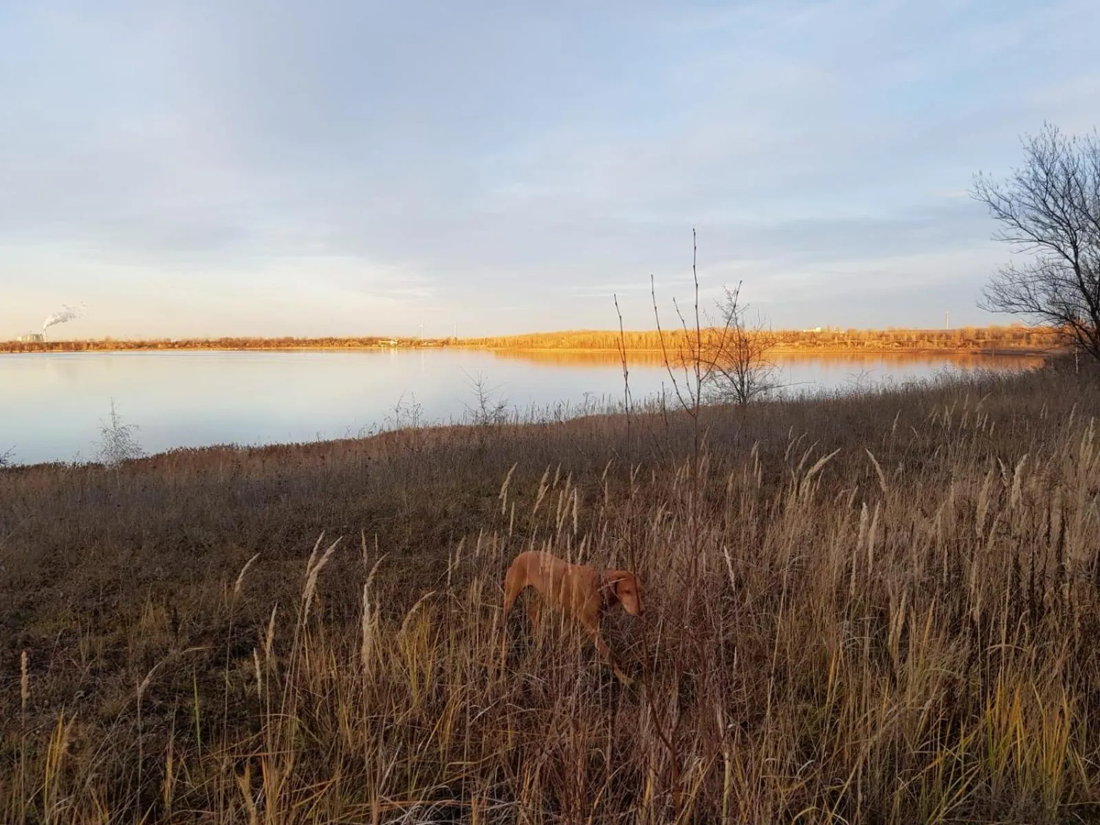 Hiking in Warias Hotel & Restaurant am Geiseltalsee - Nähe Merseburg