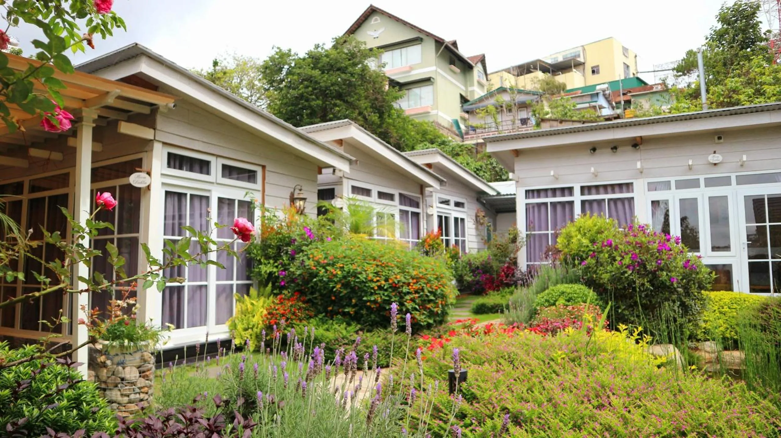 Property building in La Cle' Đà Lạt