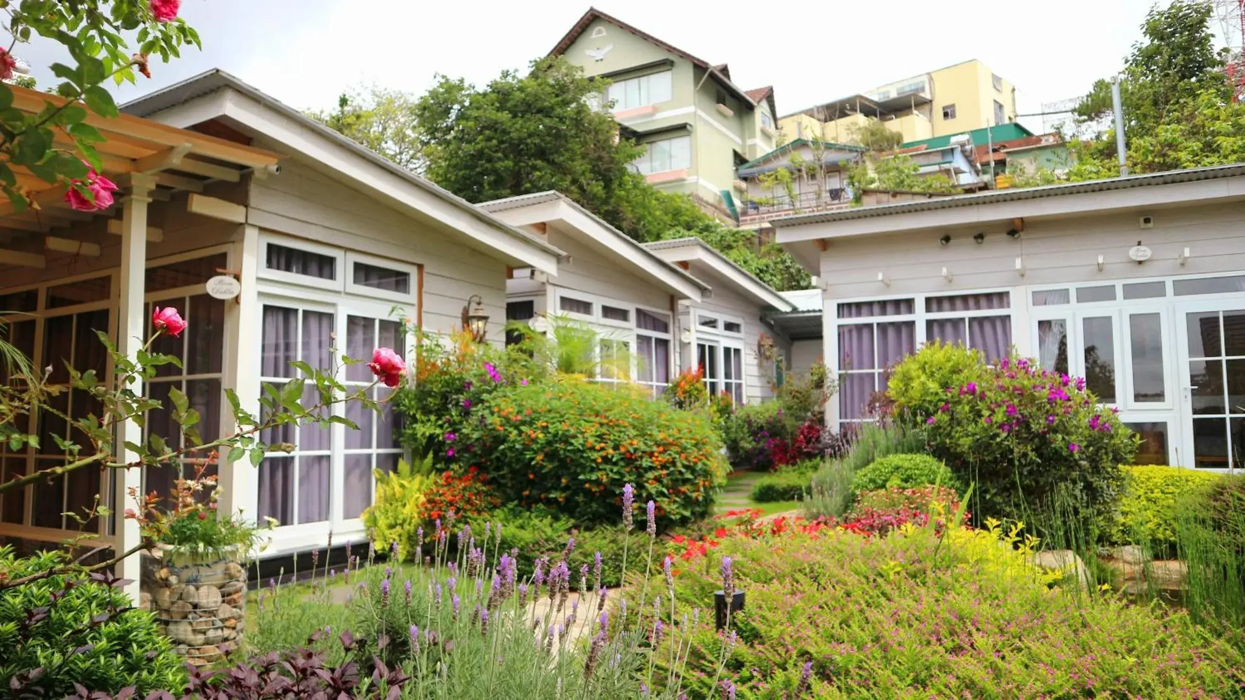 Property building in La Cle' Đà Lạt Property building in La Cle' Đà Lạt