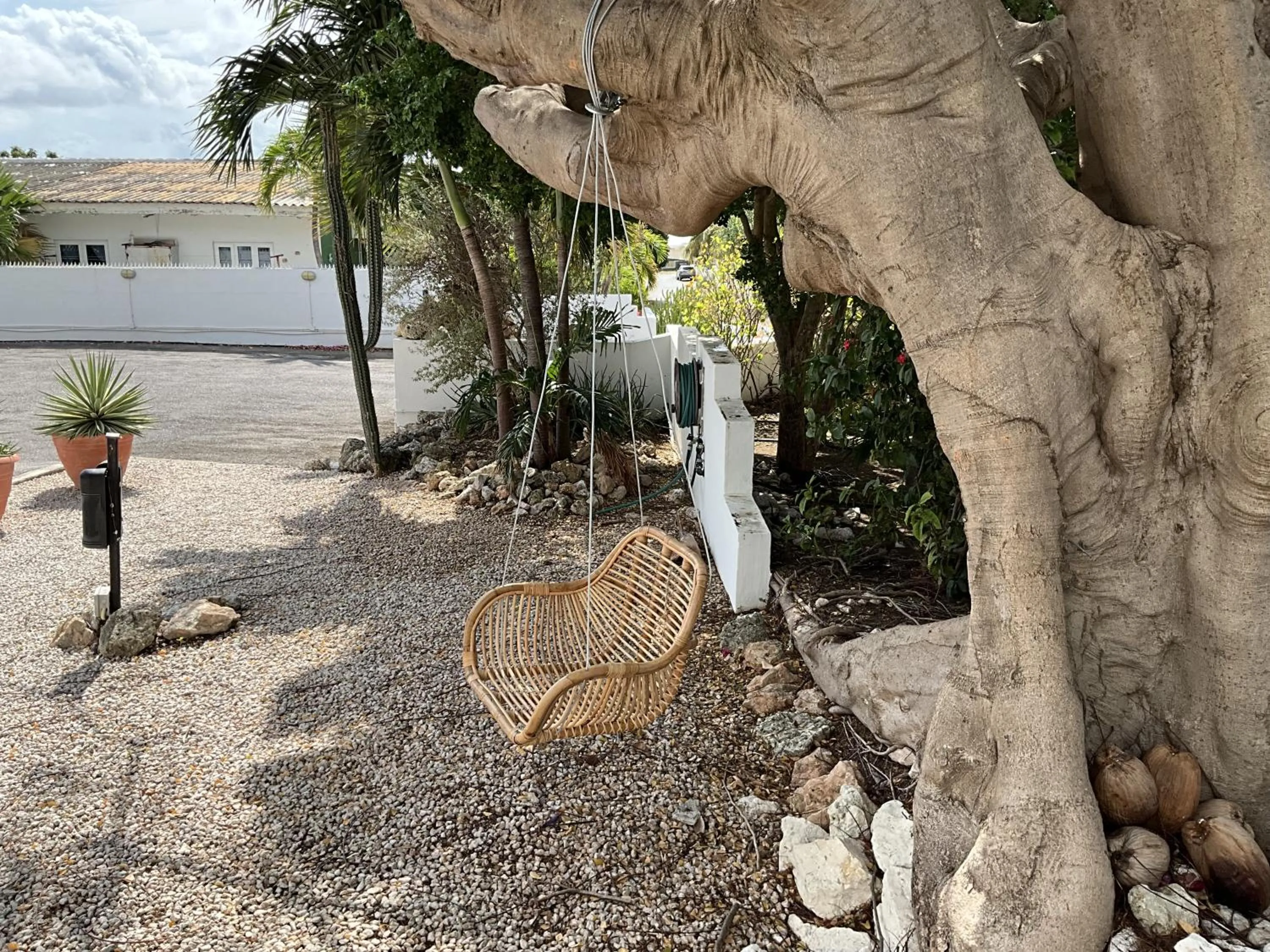 Garden in Bantopa Apartments