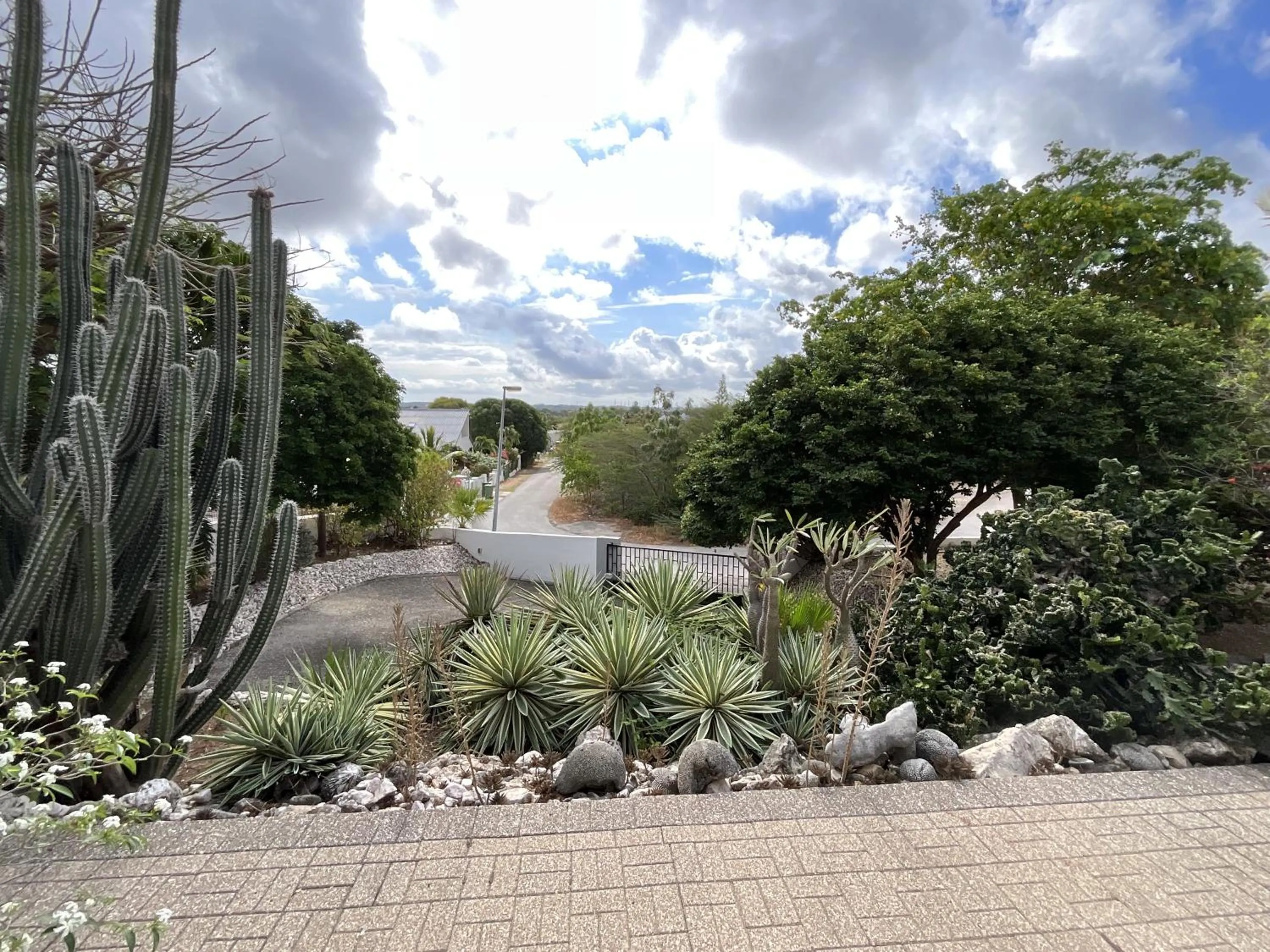 Garden in Bantopa Apartments