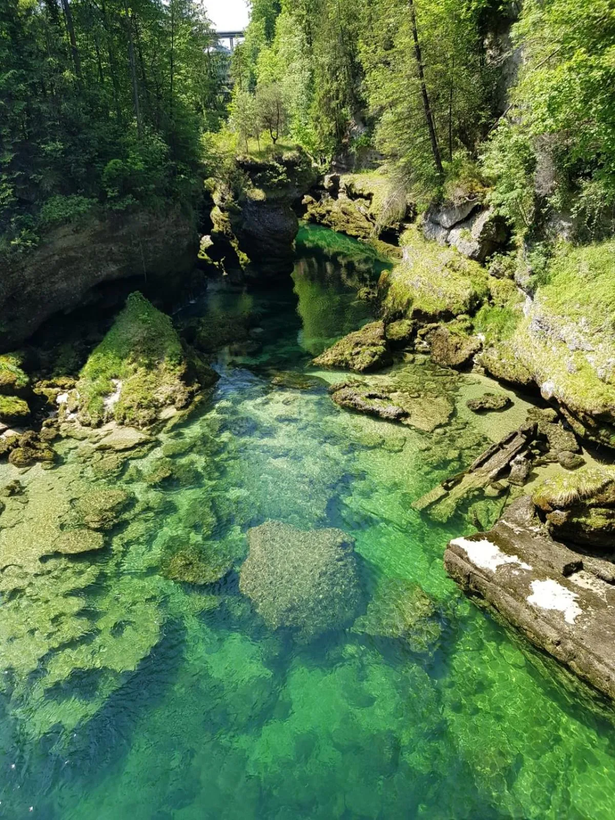 Natural landscape in Seegasthof Hois'n Wirt - Hotel mit Wellnessbereich