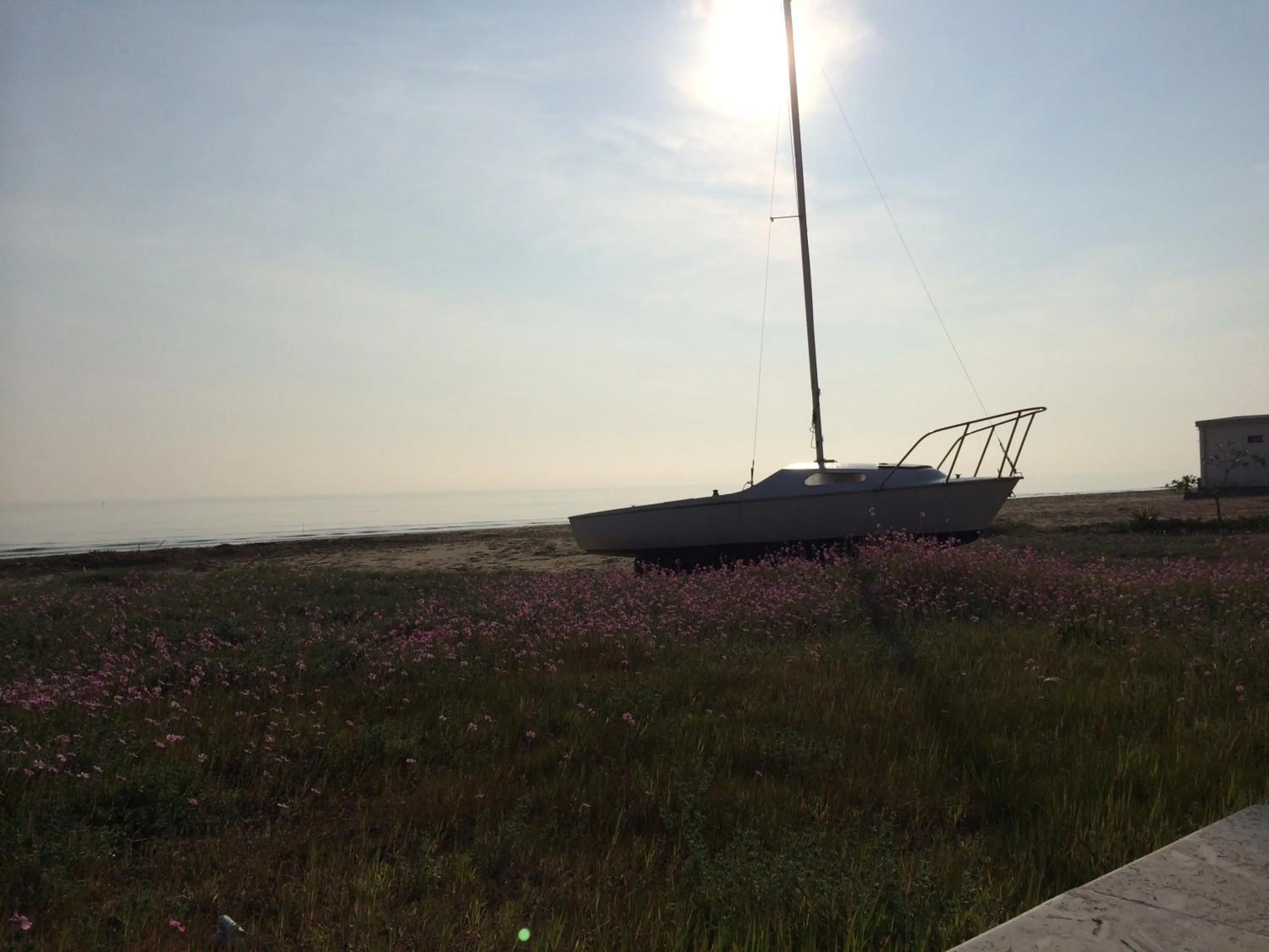 Natural landscape in Hotel Florida