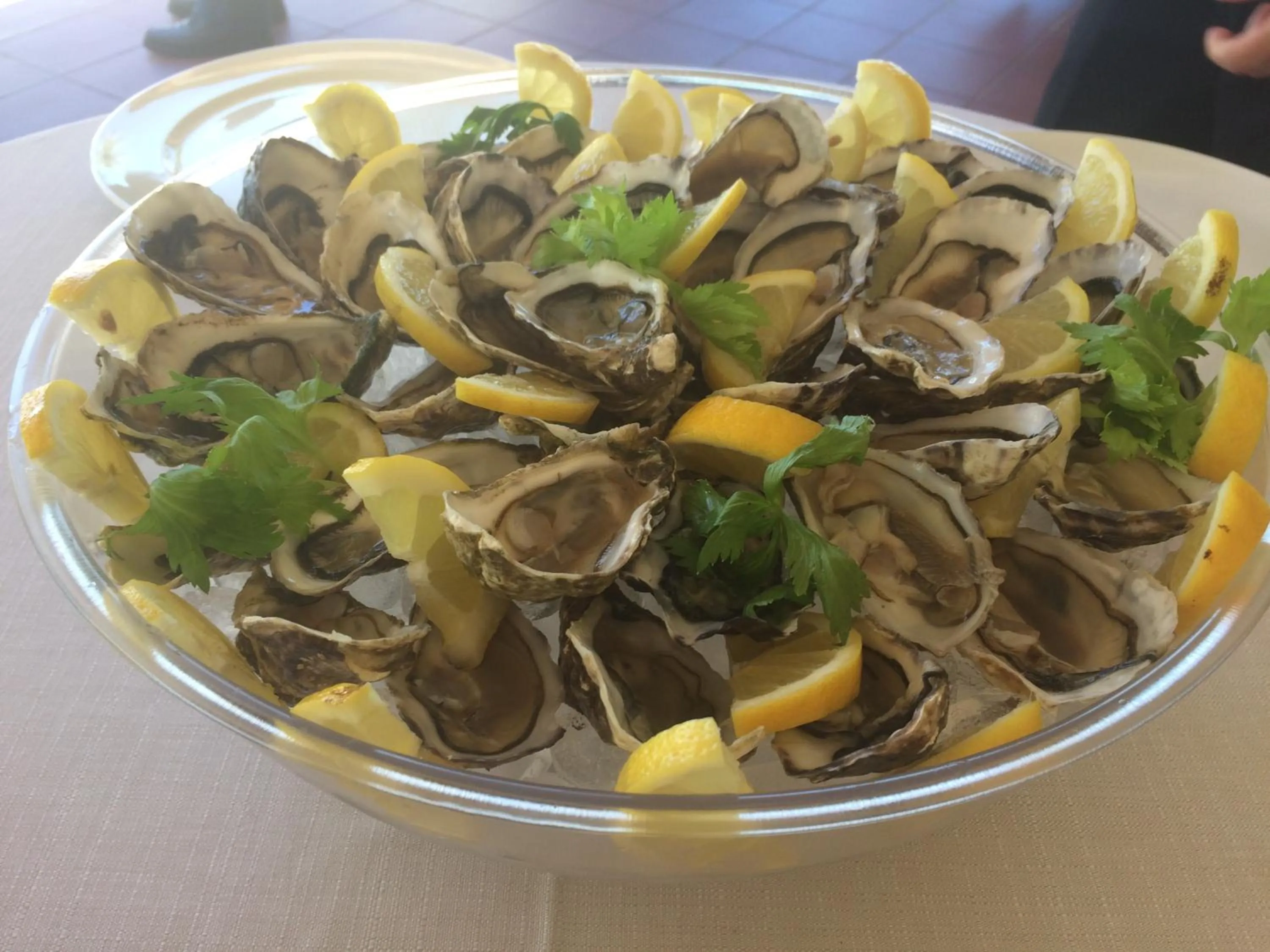 Lunch in Hotel Florida