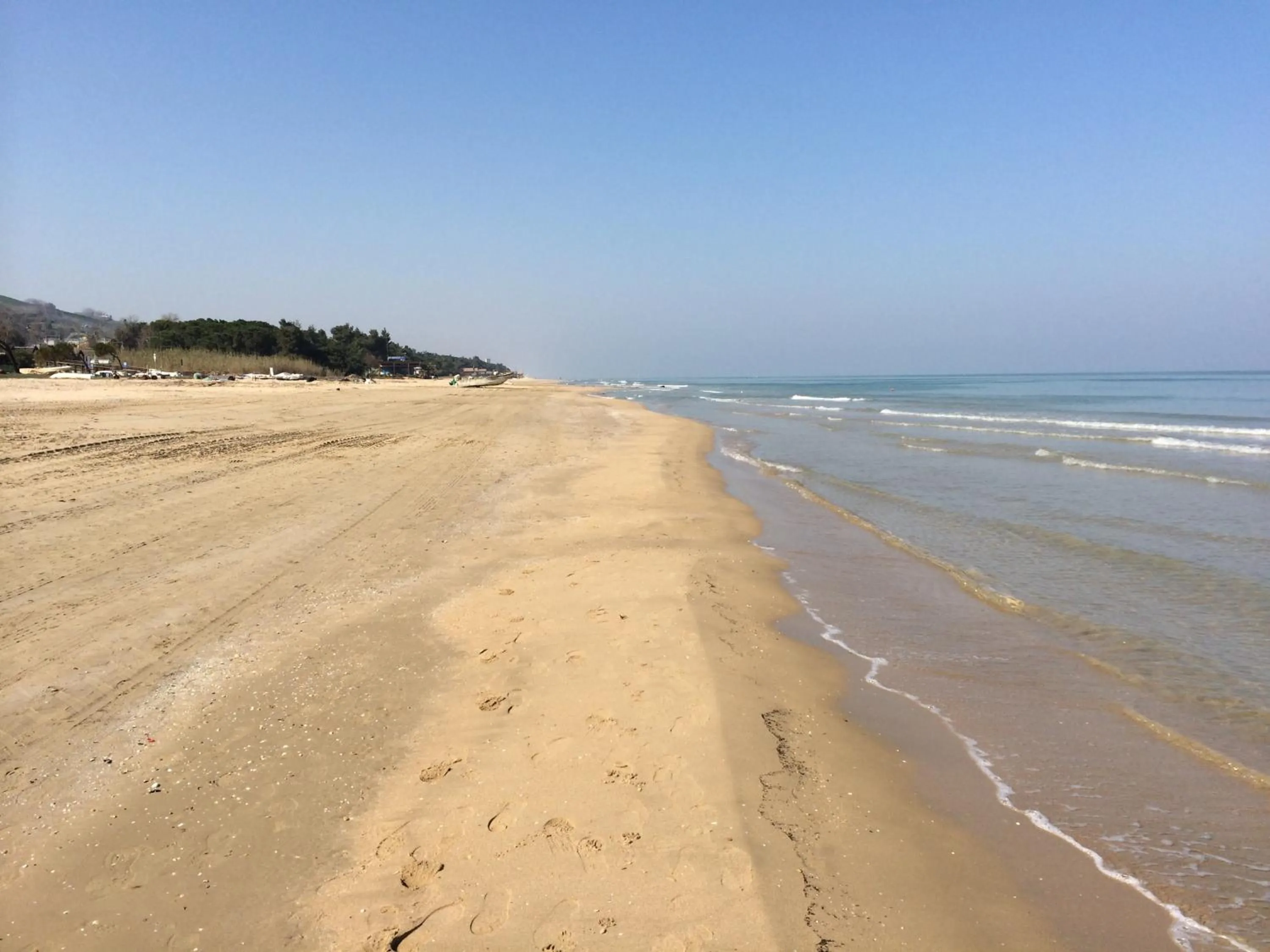 Beach in Hotel Florida