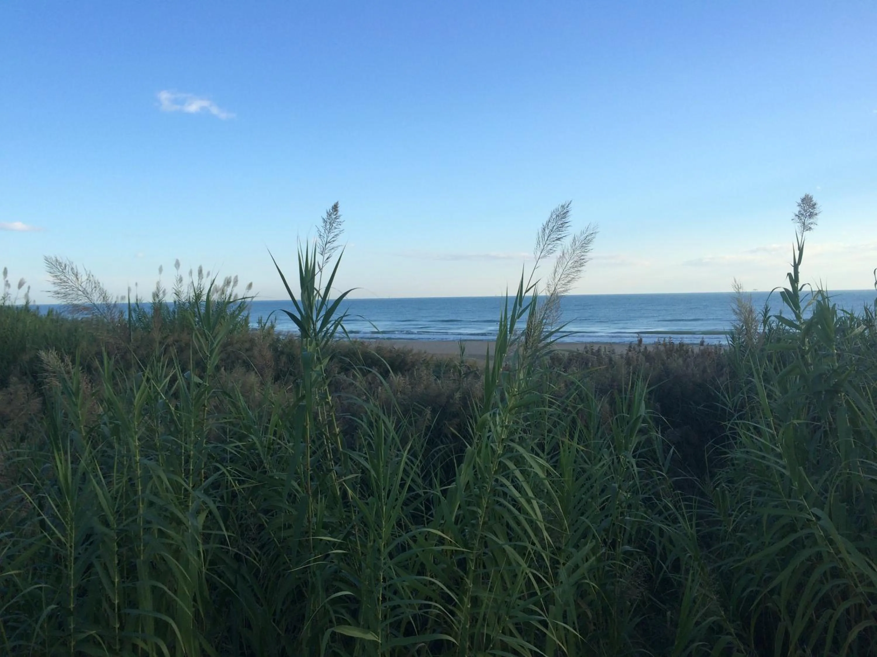 Beach in Hotel Florida