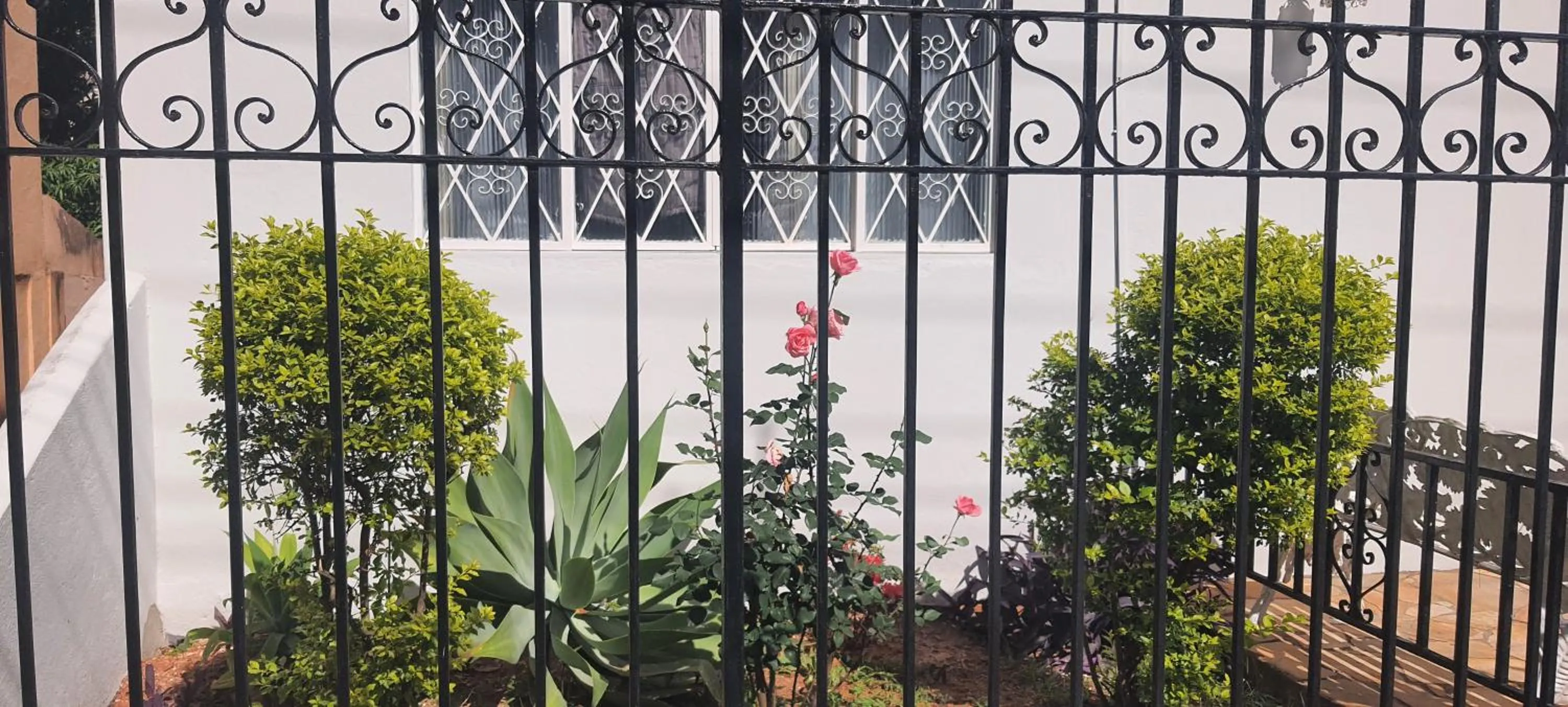 Garden in Pousada Barão Real