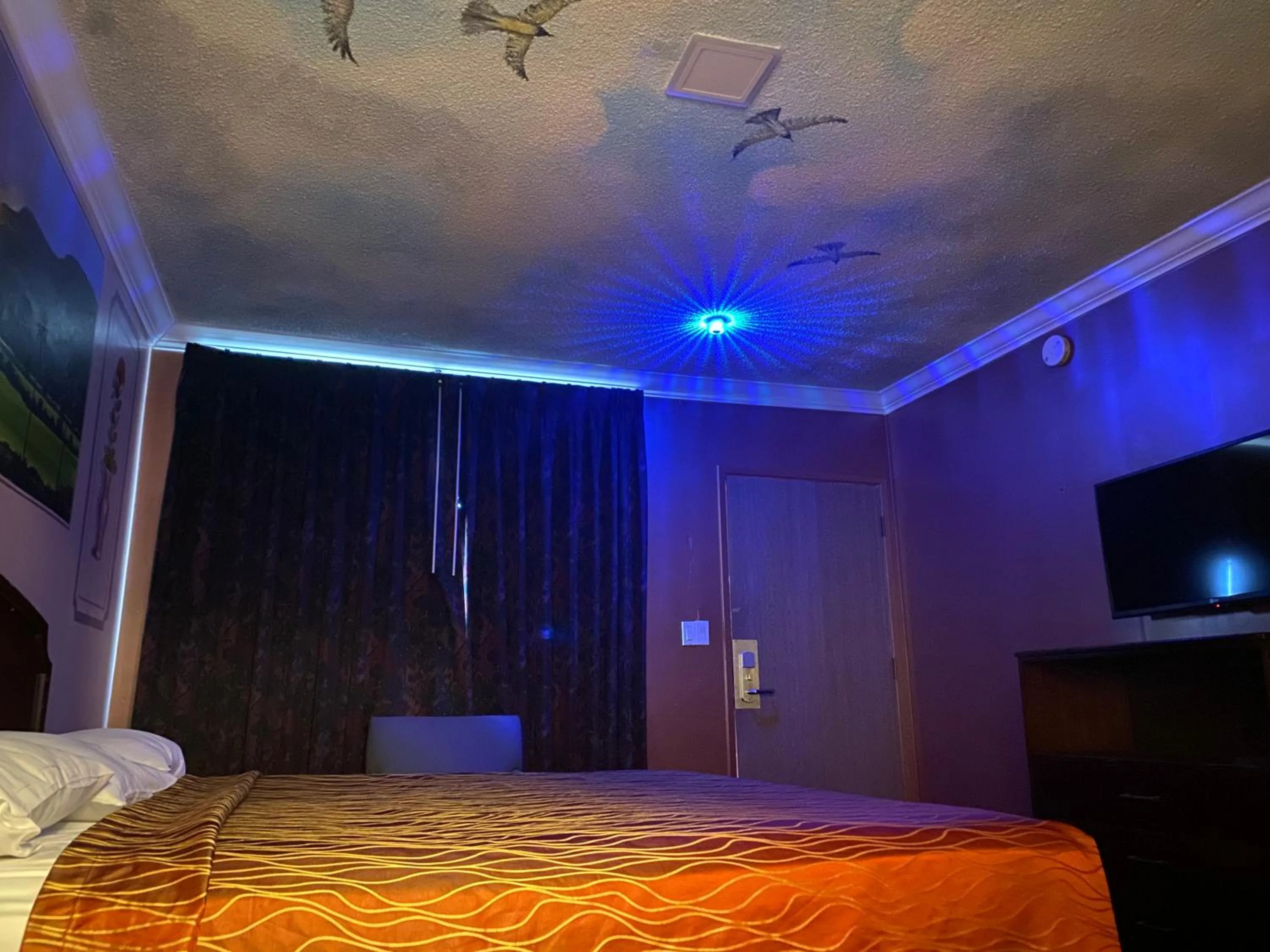 Bed in Villa Park Motel