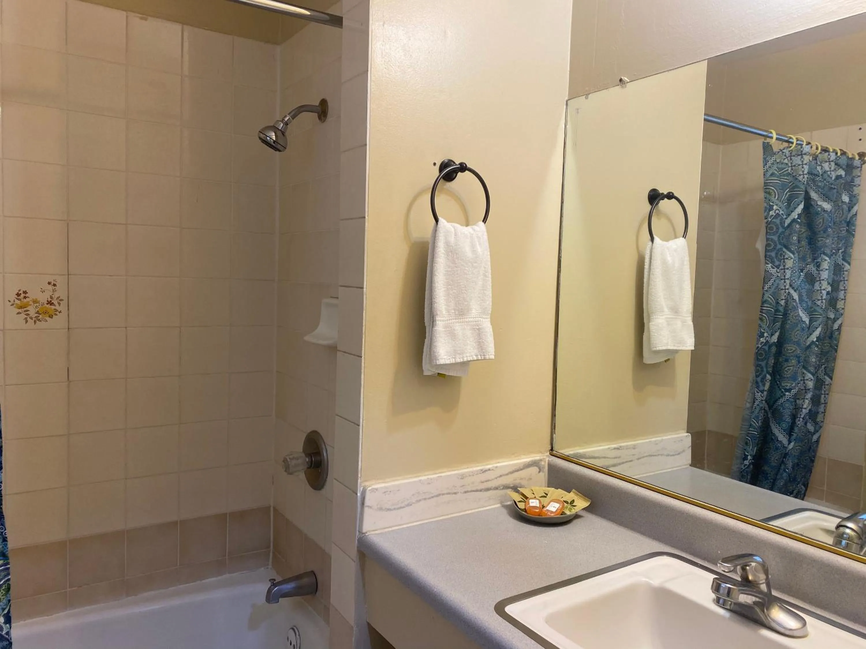 Bathroom in Villa Park Motel