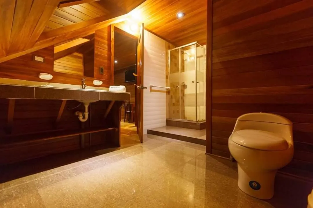 Shower in Hotel Heidinger