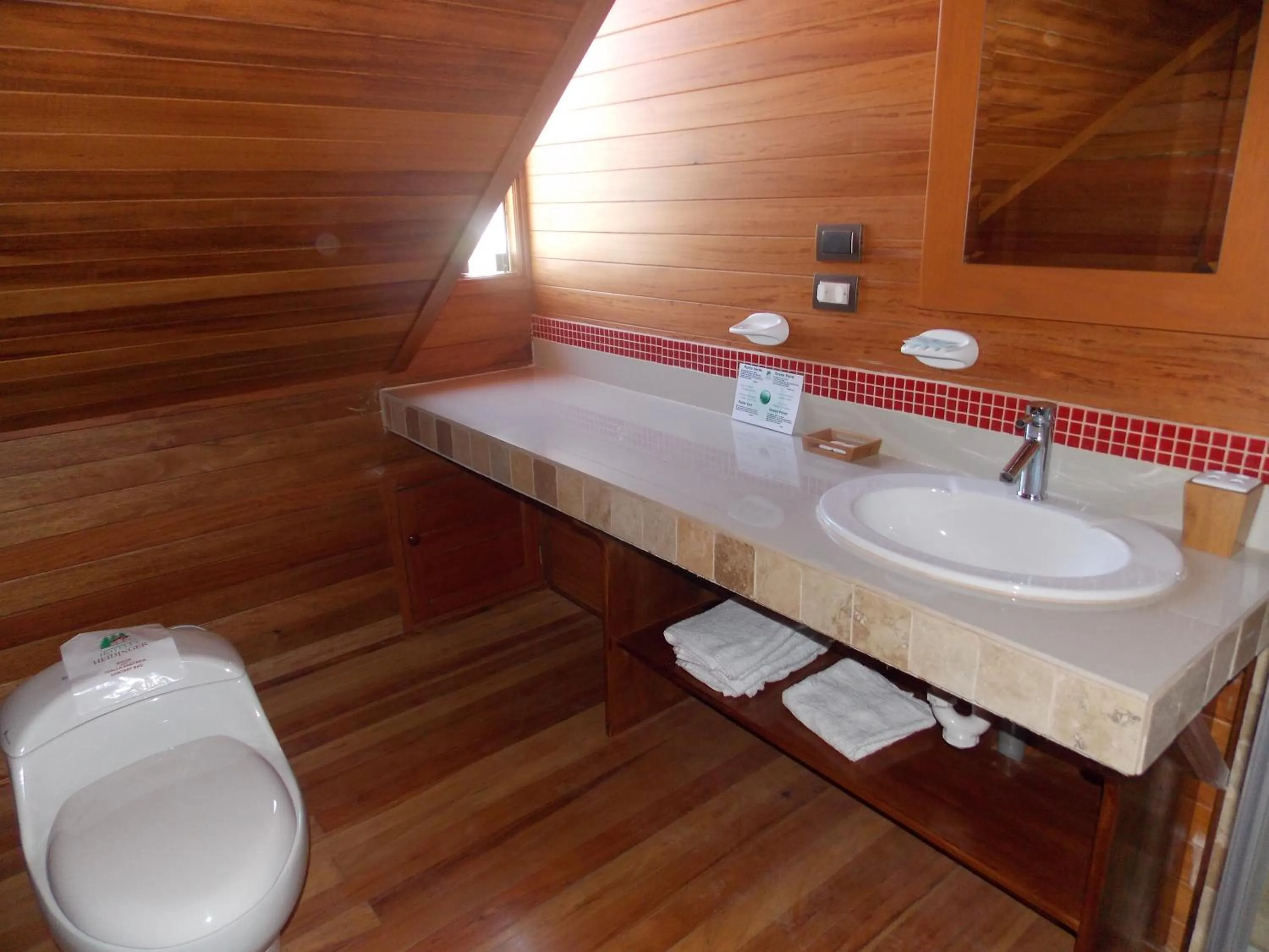 Shower in Hotel Heidinger