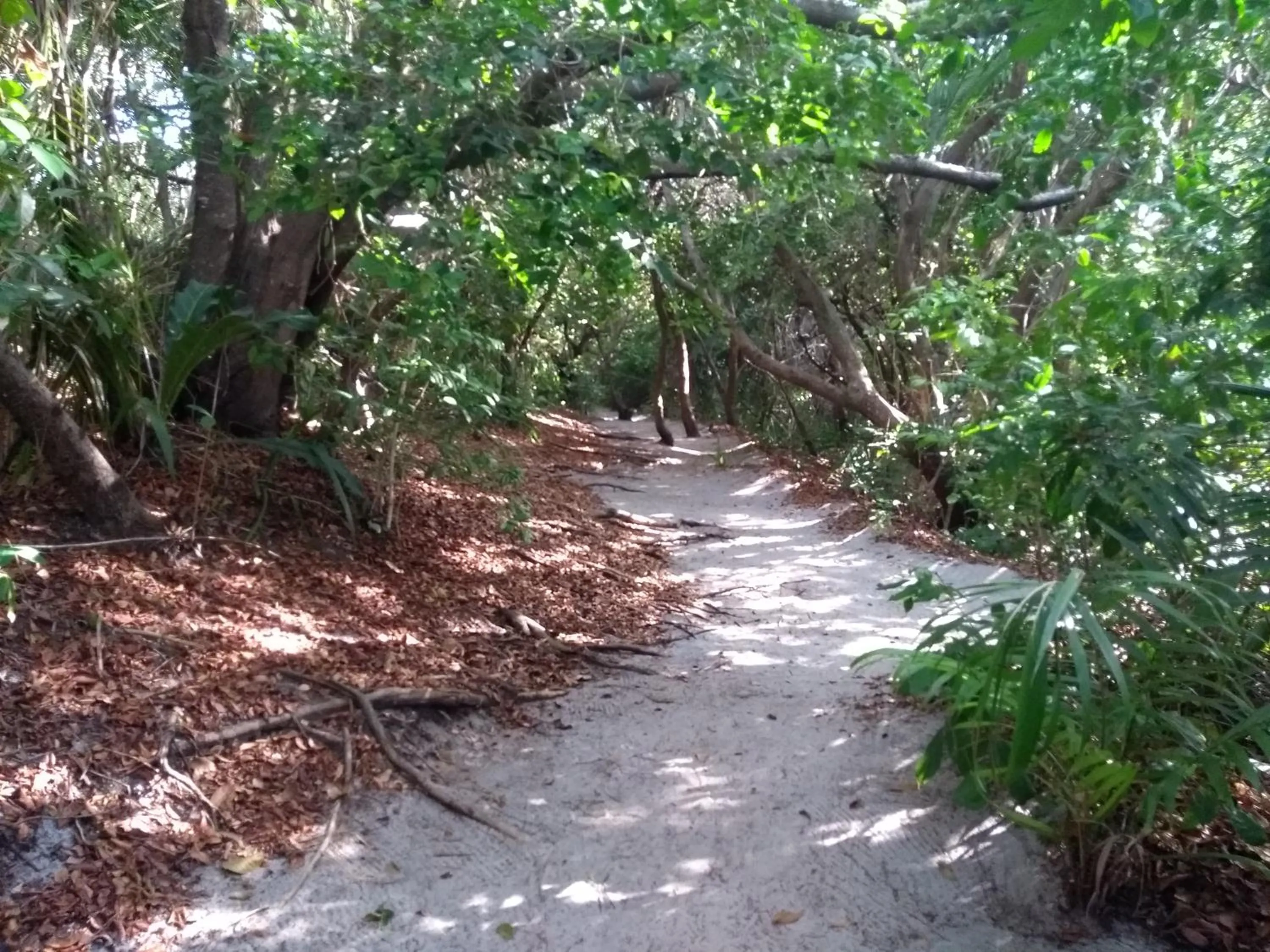 Natural landscape in Itacimirim - Quinta das Lagoas Residence