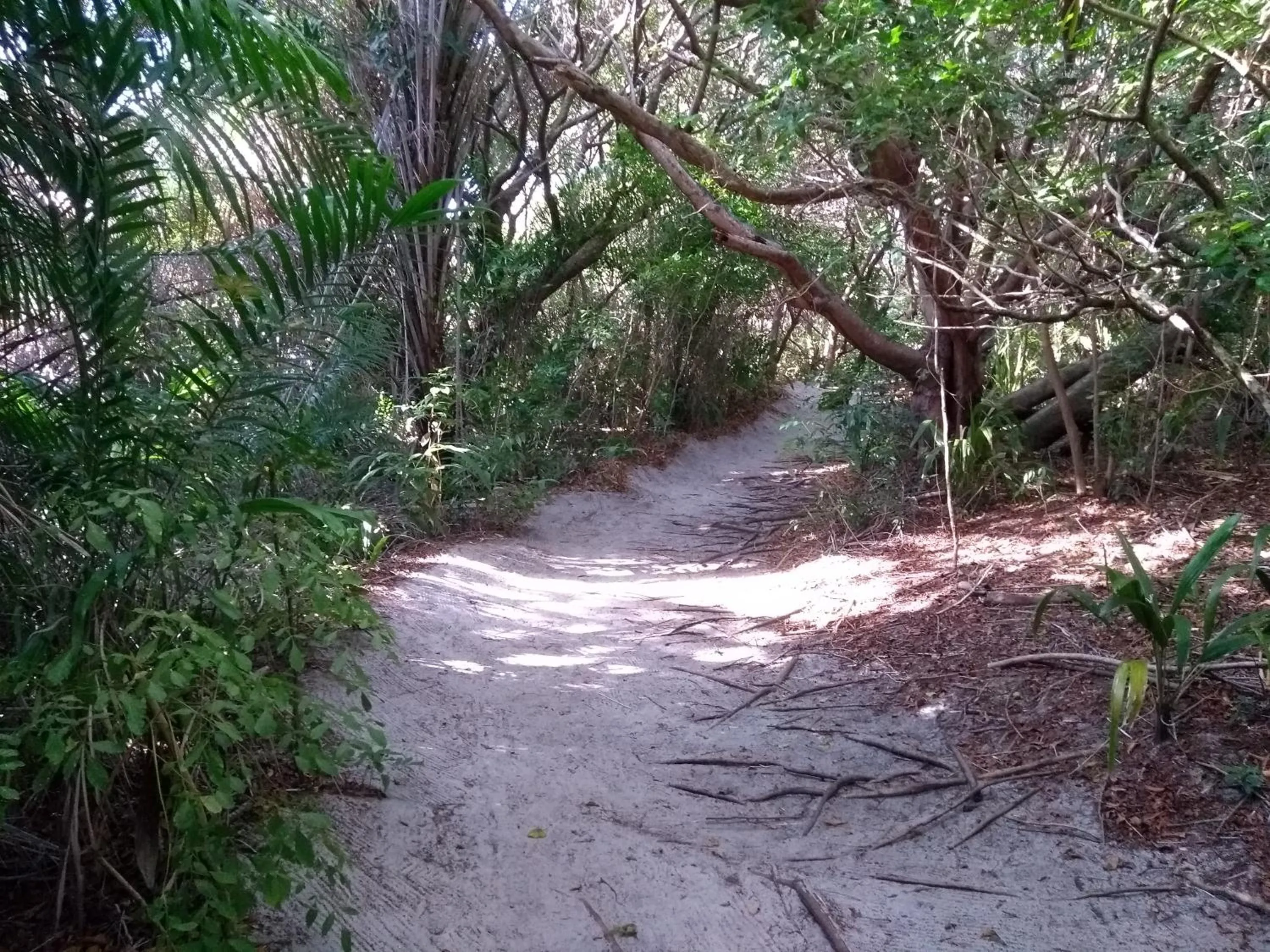 Natural landscape in Itacimirim - Quinta das Lagoas Residence