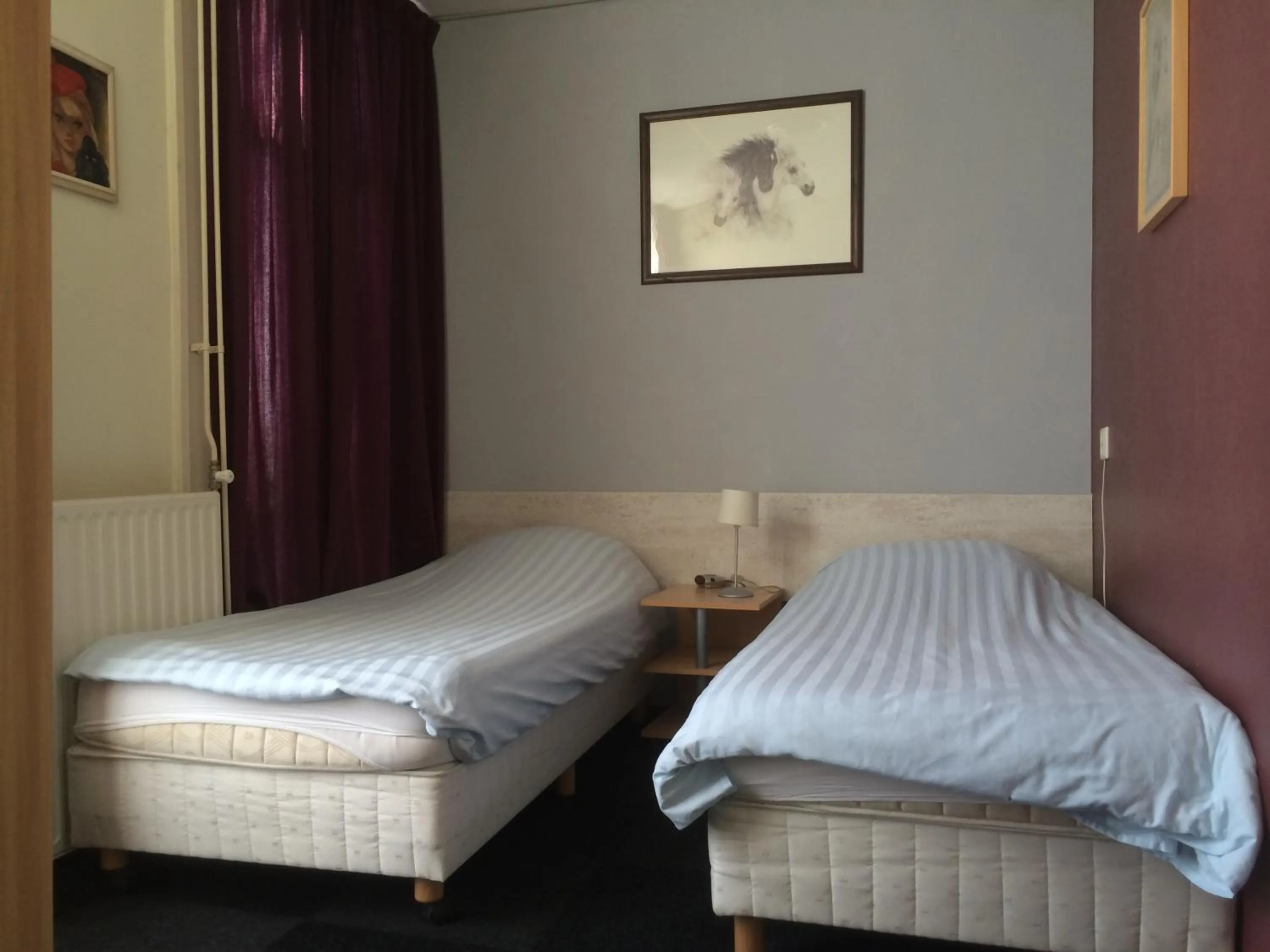 Double Room in Hotel de Blauwe Vogel