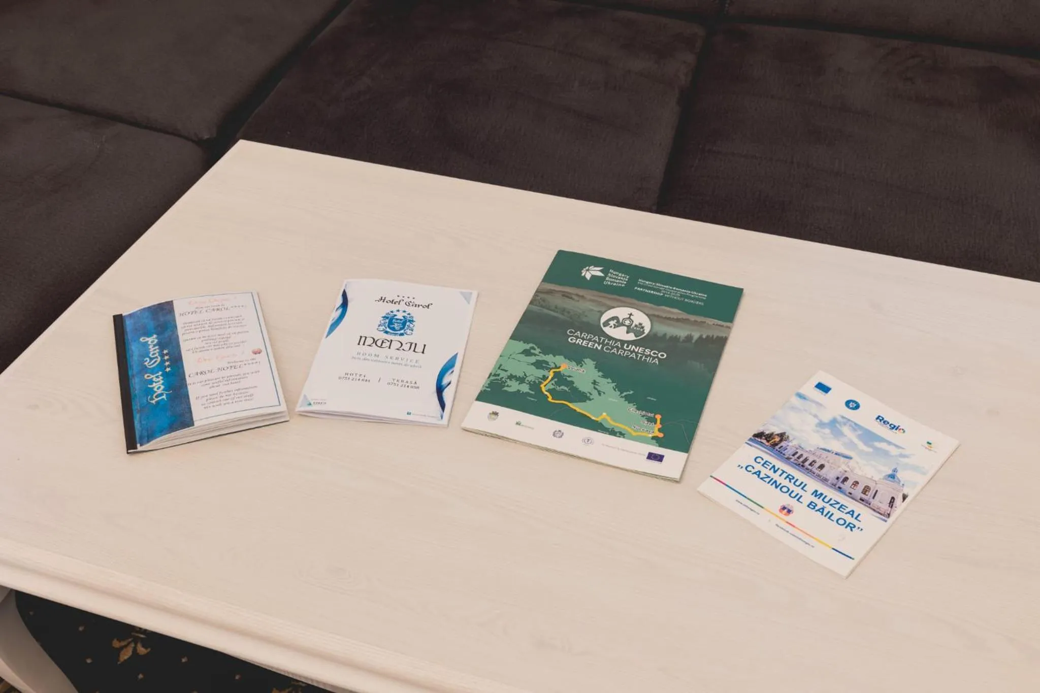 Living room in Hotel Carol - Vatra Dornei