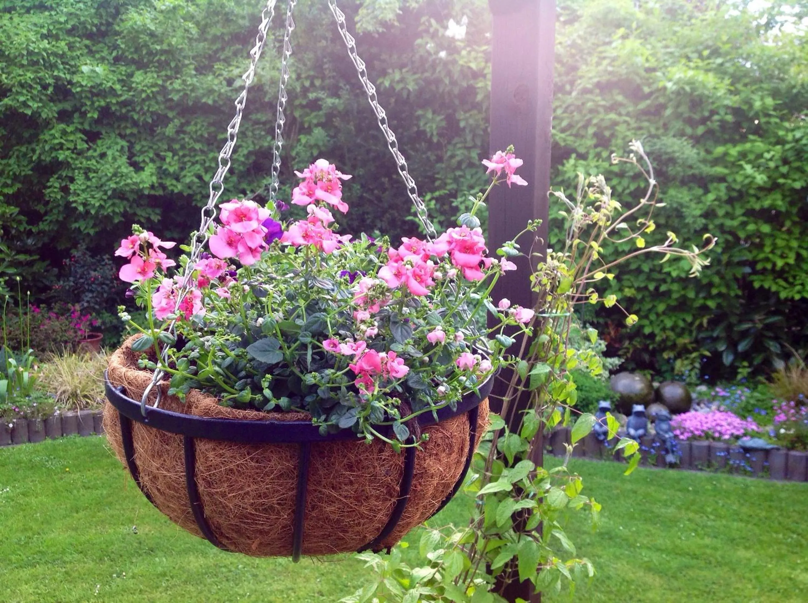 Garden in Haus Kollwitzweg - Ferienwohnungen