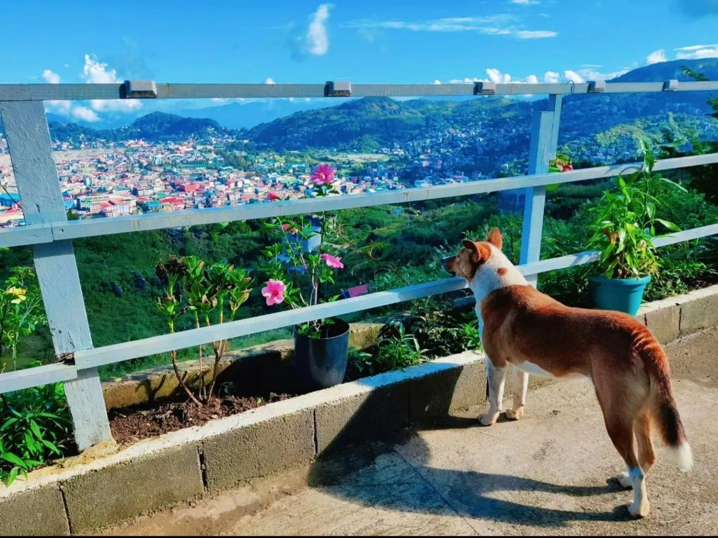 Property building in Wanay's Rocky Mountain Homestay