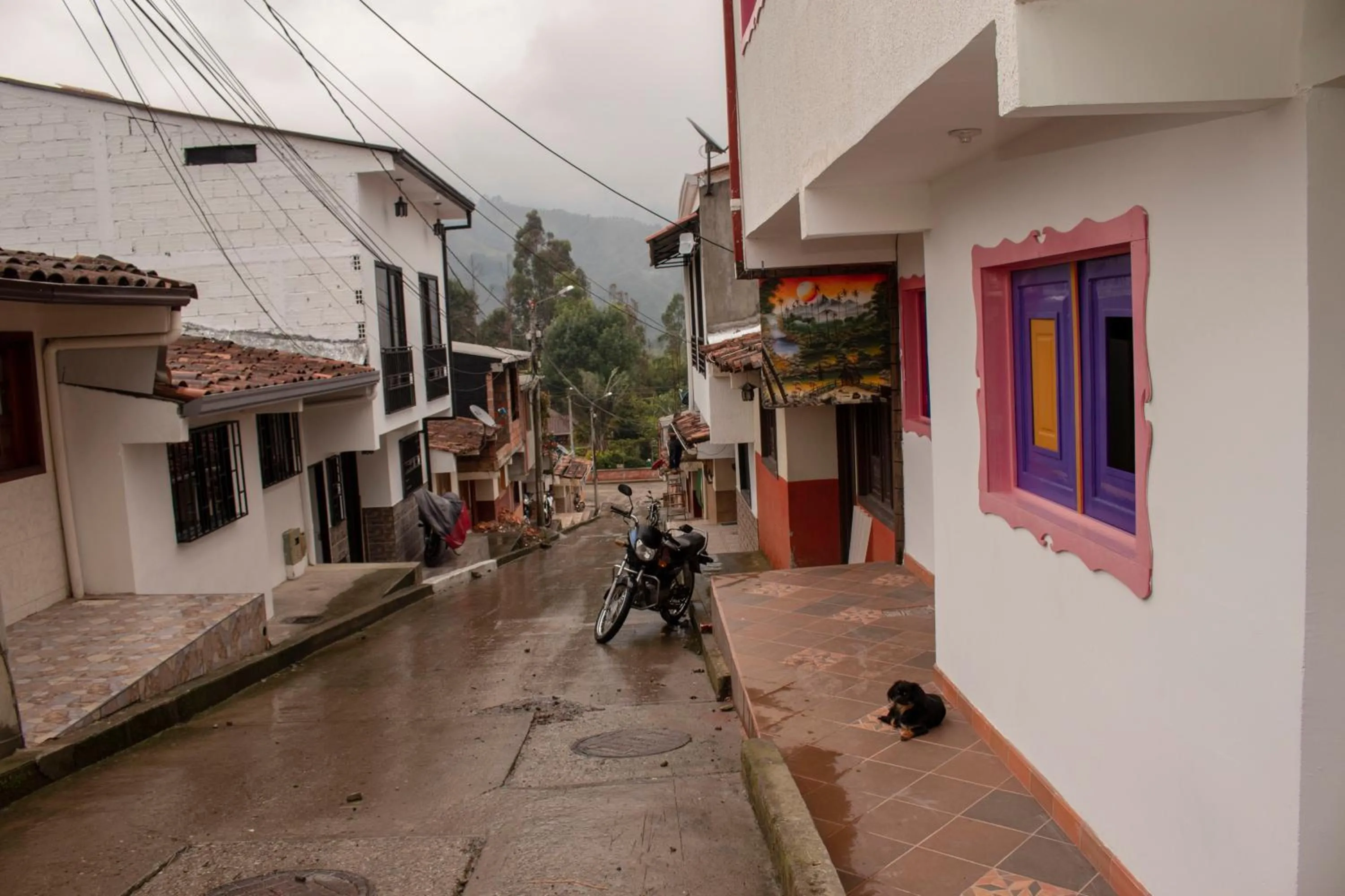 Property building in Hostal Palmas De Cocora