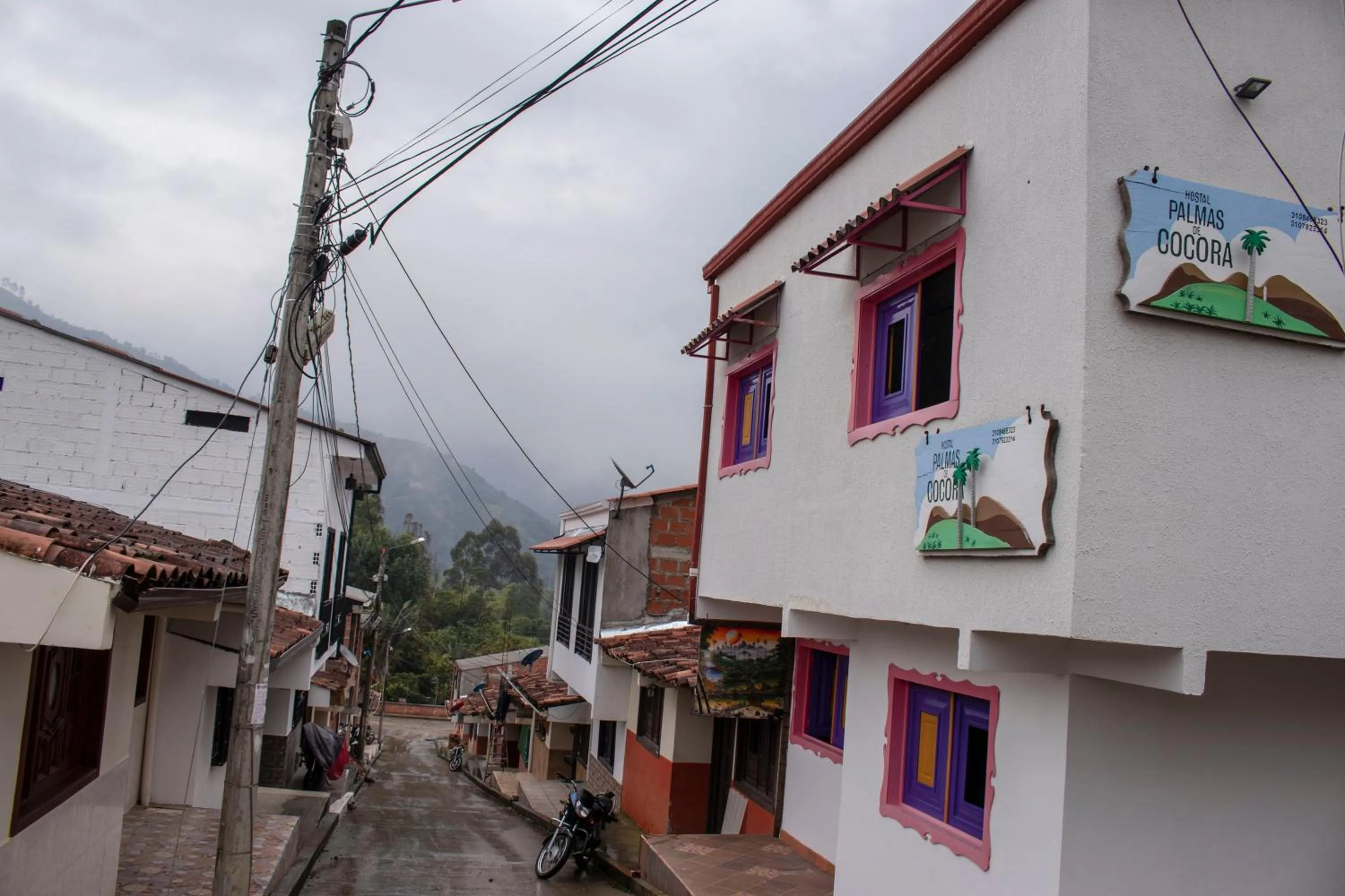 Hostal Palmas De Cocora