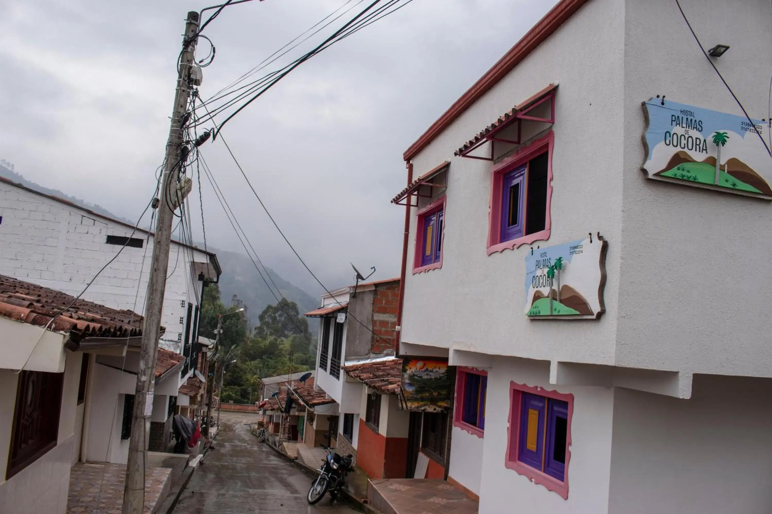 Hostal Palmas De Cocora Hostal Palmas De Cocora