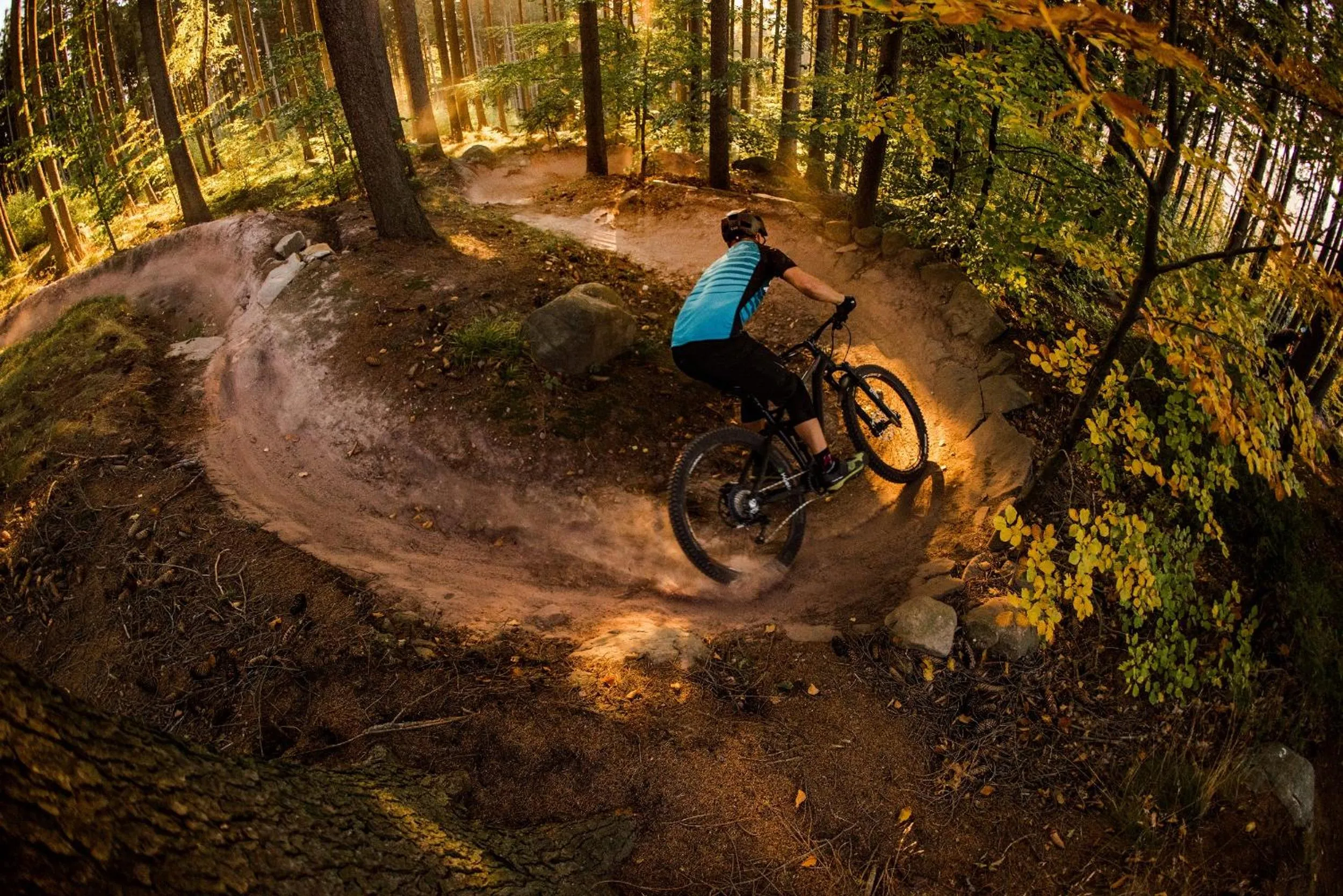 Cycling in Sport & Relax Hotel Davidek