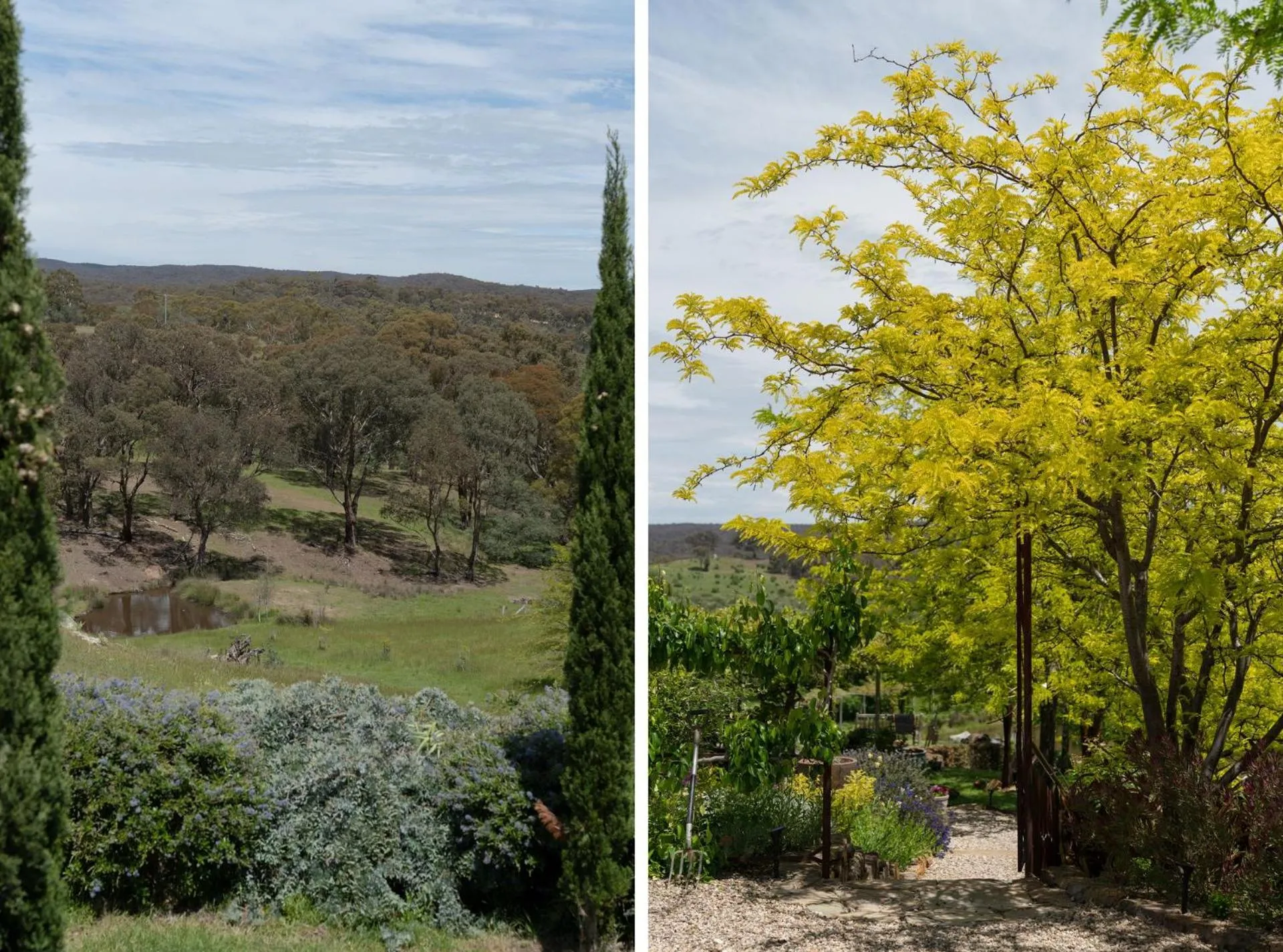 Lithia Guest House - Daylesford Region