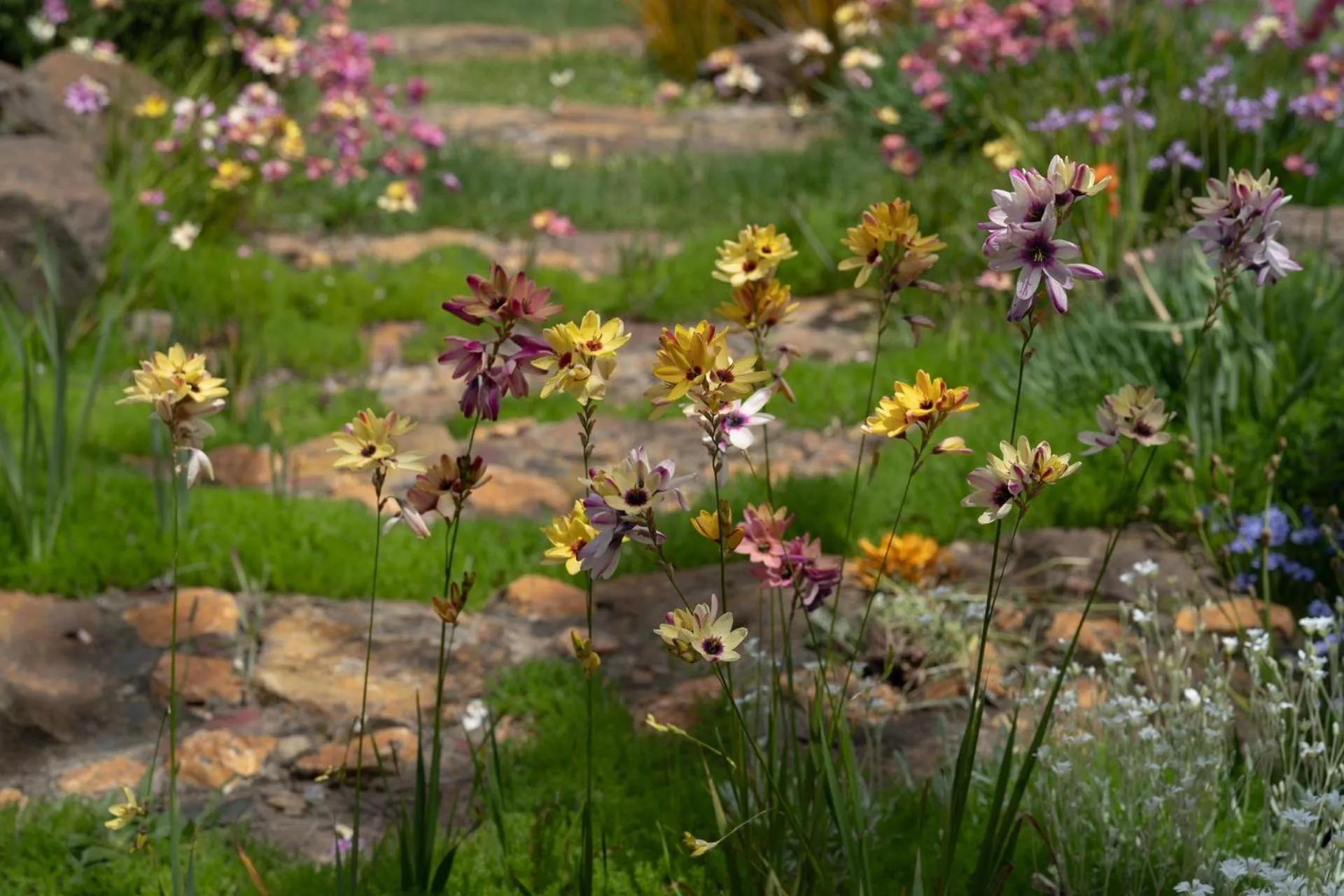 Lithia Guest House - Daylesford Region