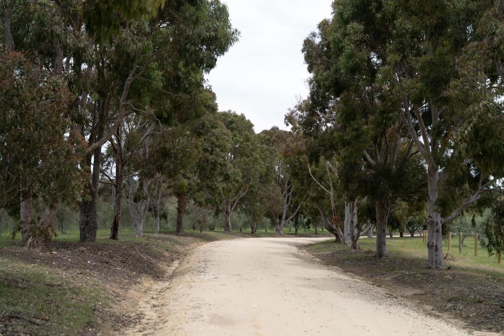 Lithia Guest House - Daylesford Region