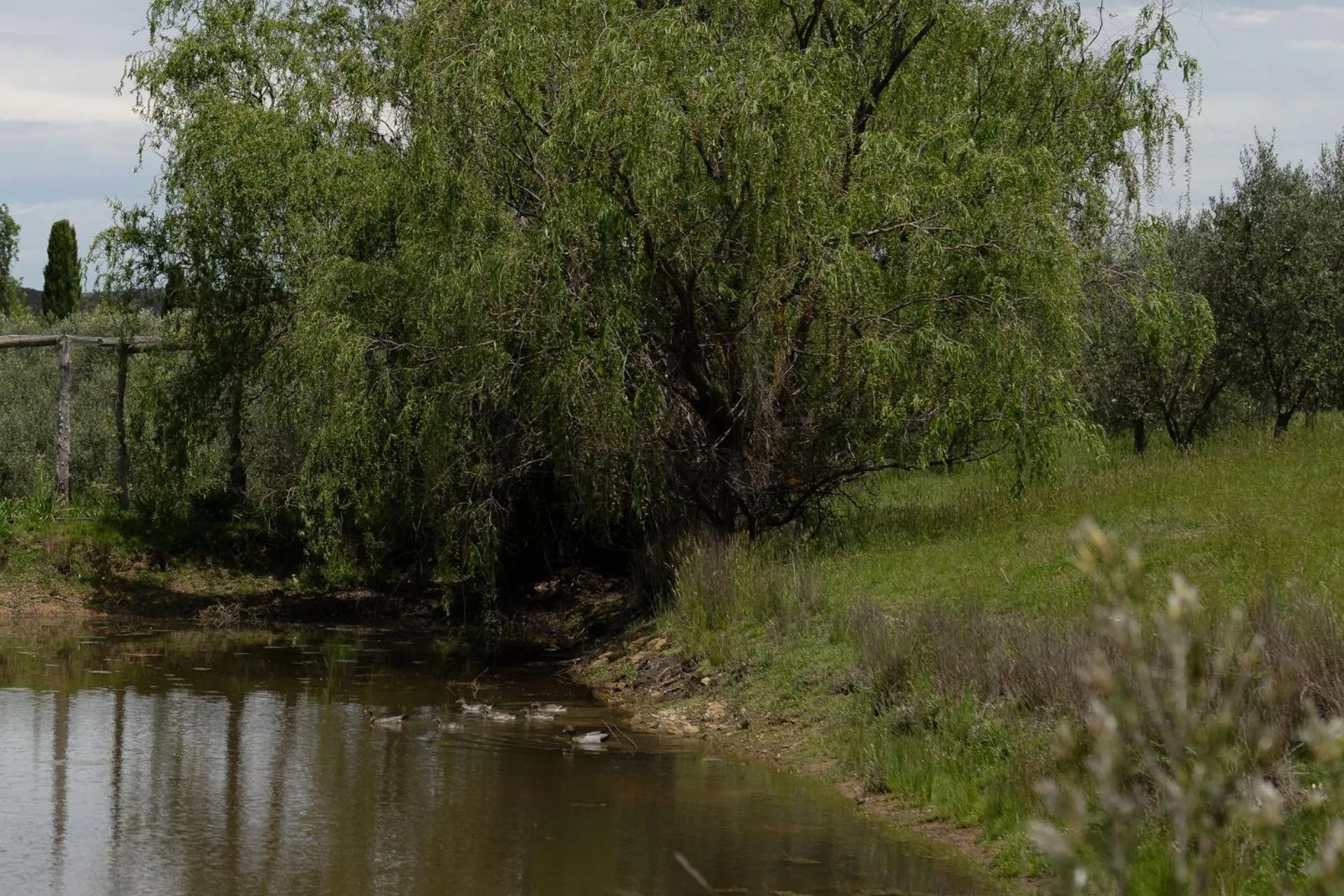Lithia Guest House - Daylesford Region