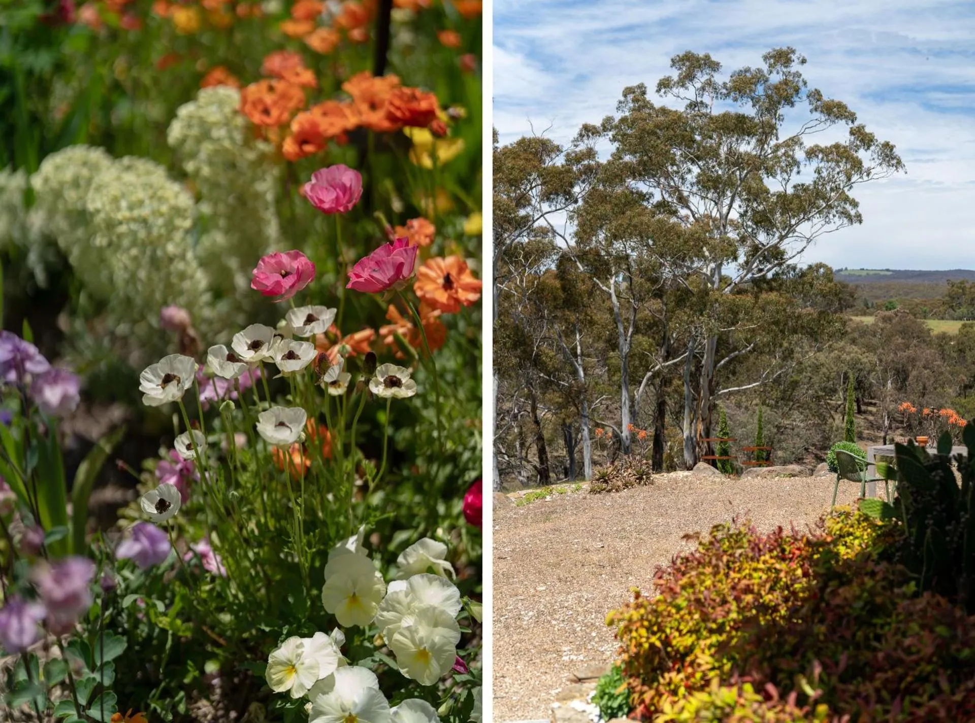 Lithia Guest House - Daylesford Region