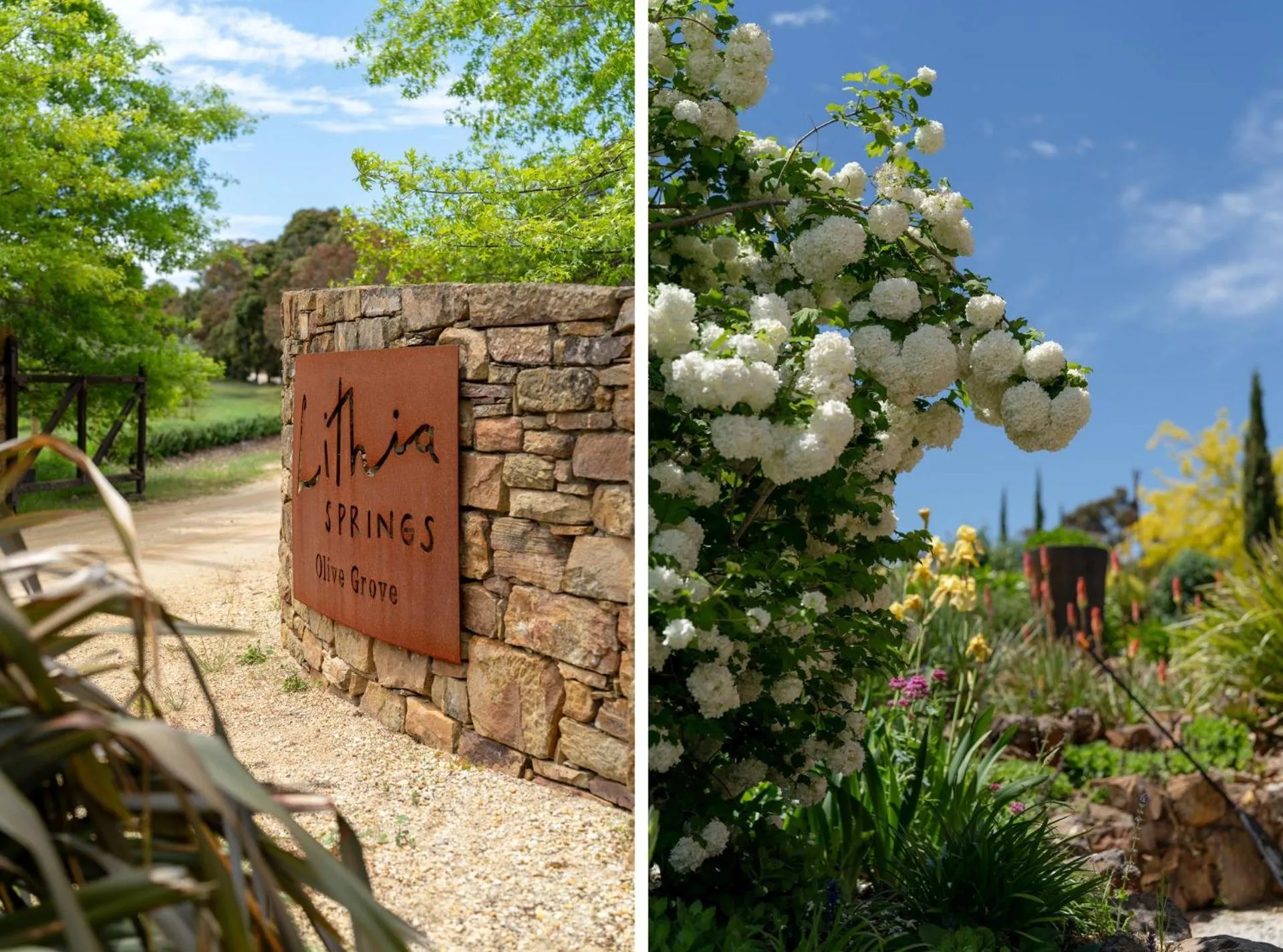 Lithia Guest House - Daylesford Region