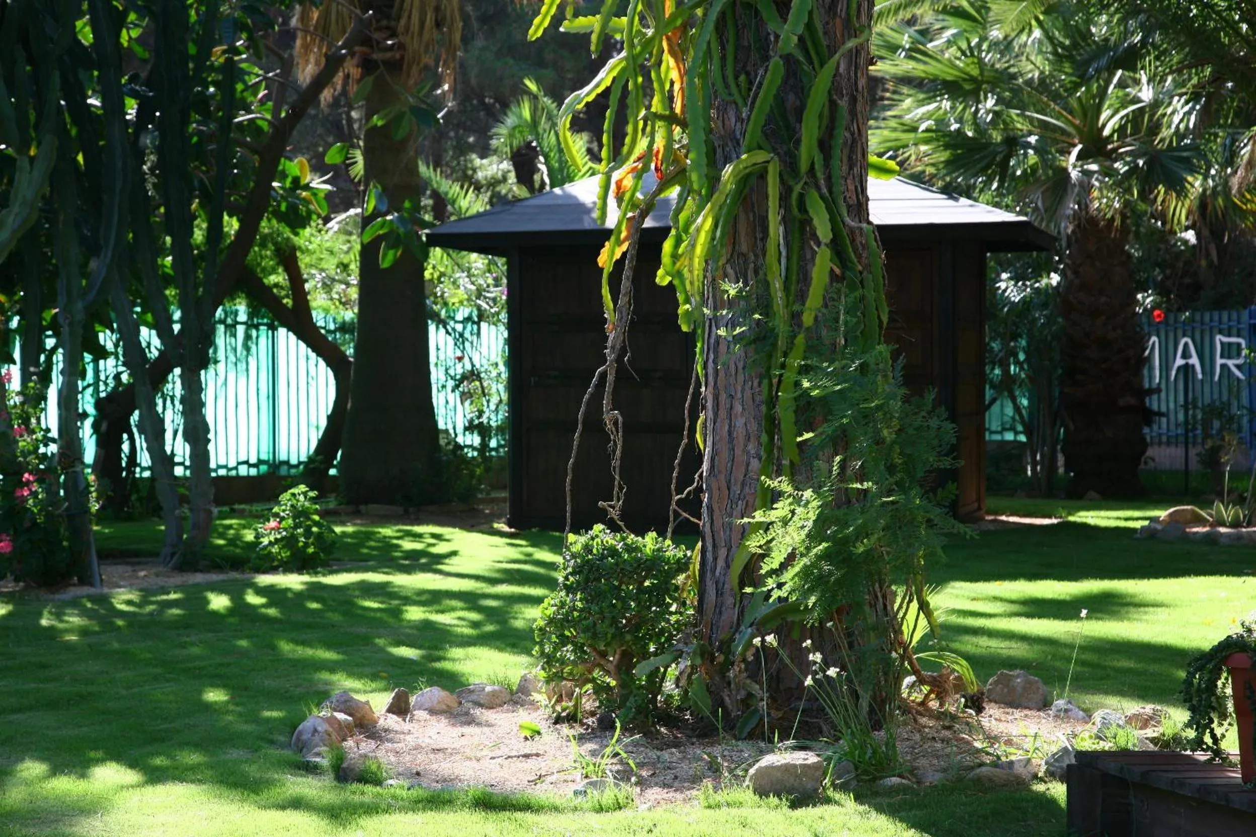 Garden in Abamar Hotel
