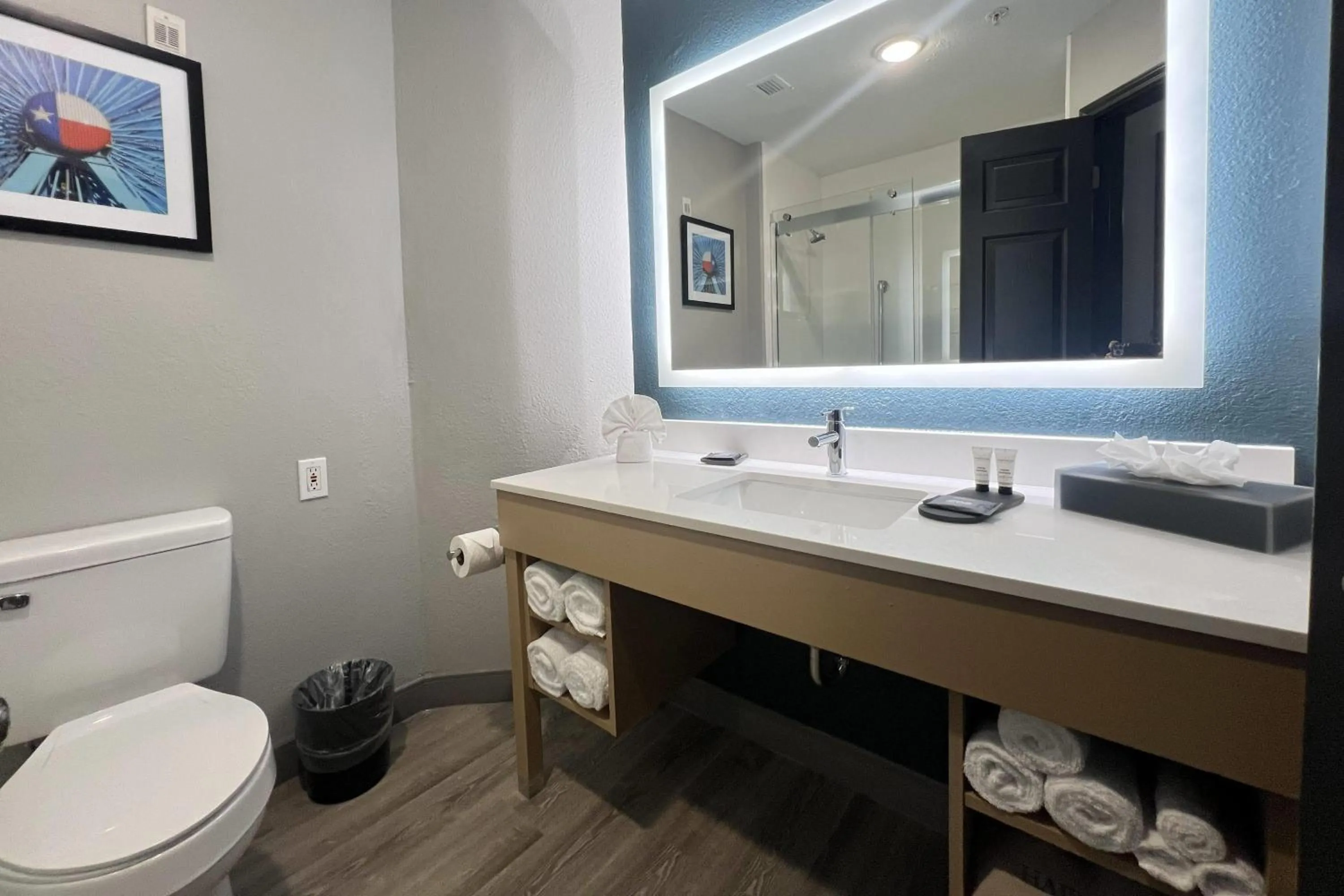 Bathroom in La Quinta by Wyndham Dallas Arlington South