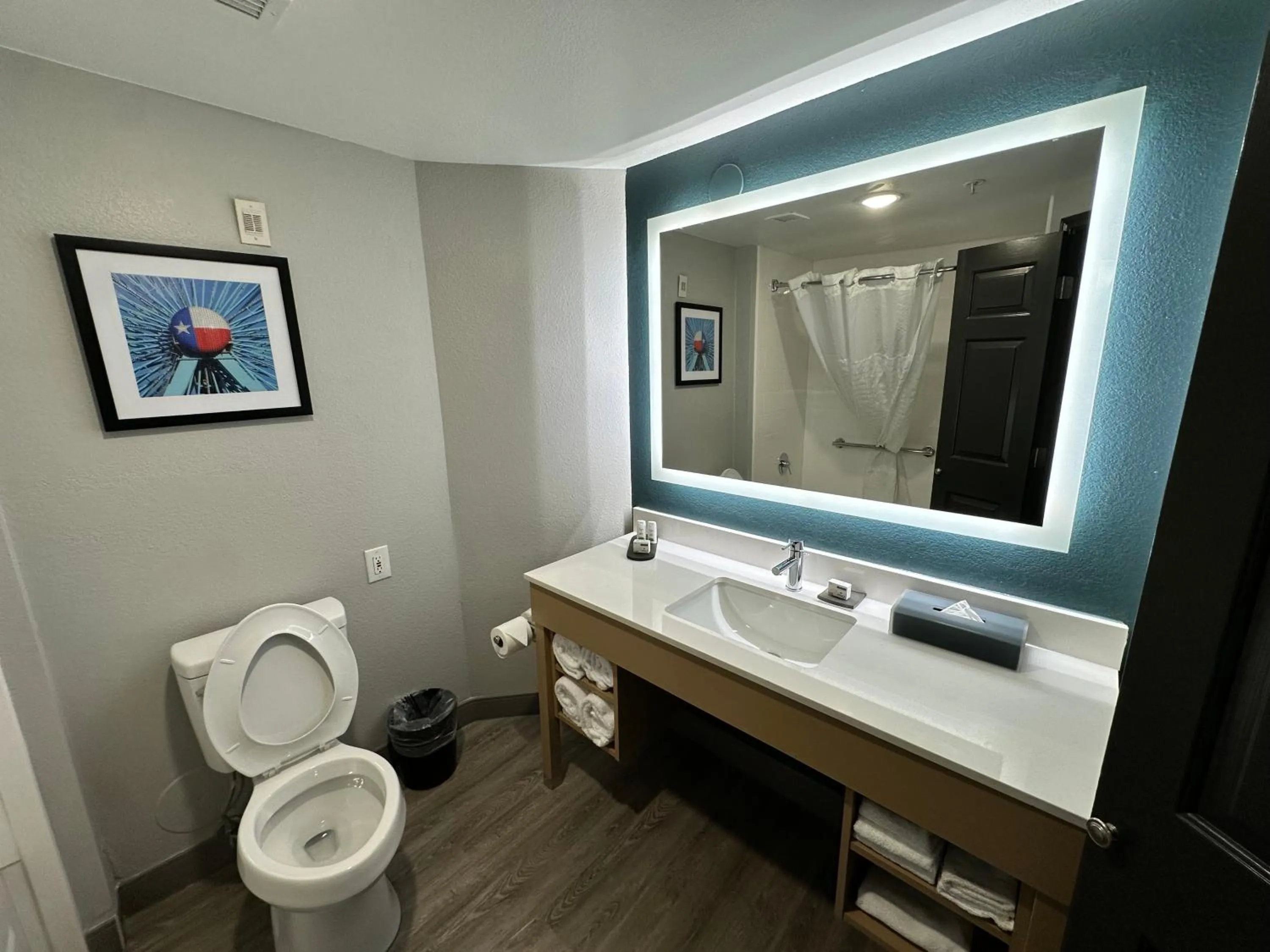 La Quinta by Wyndham Dallas Arlington South