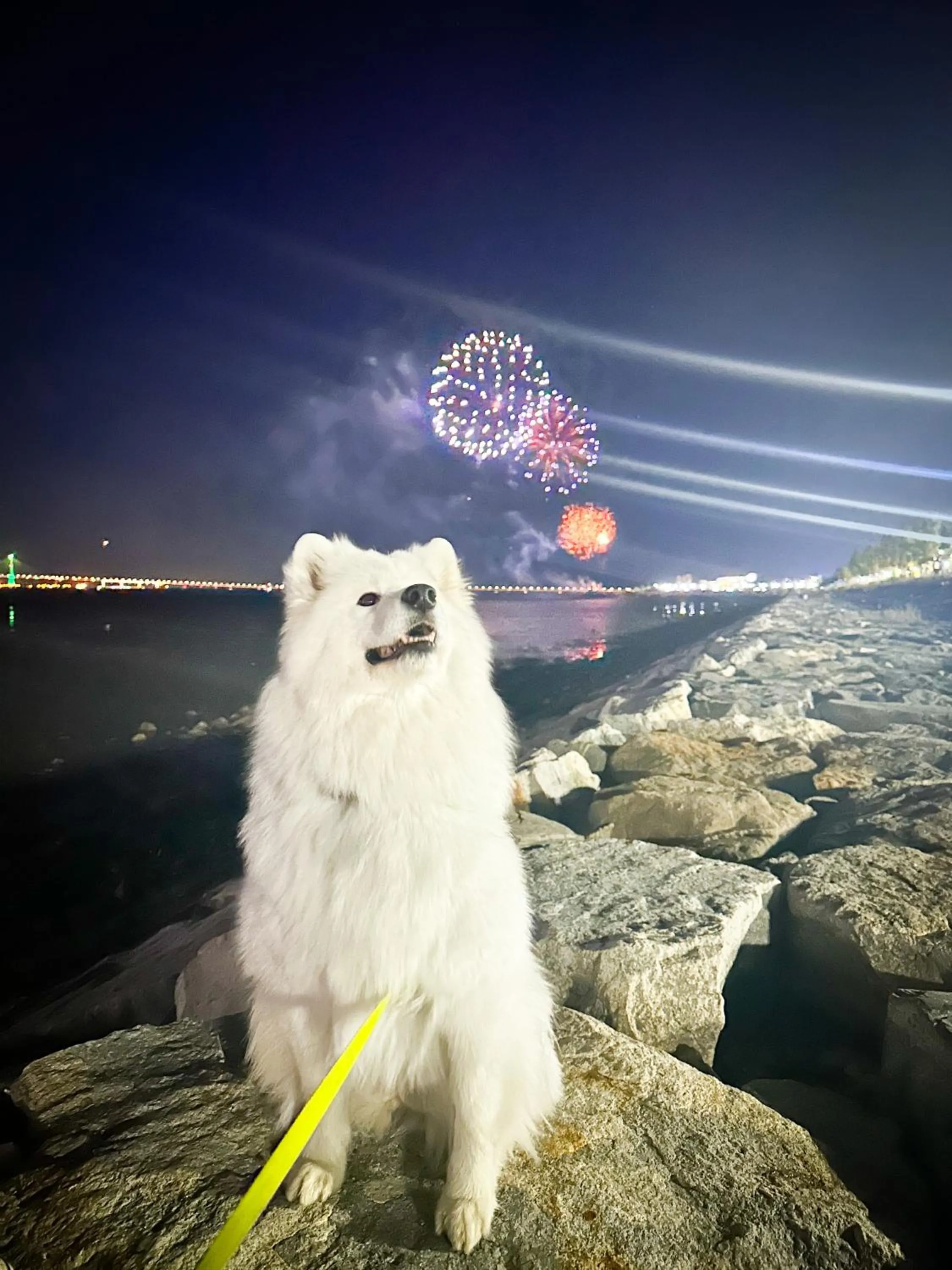 View (from property/room) in Airsky Hotel Incheon