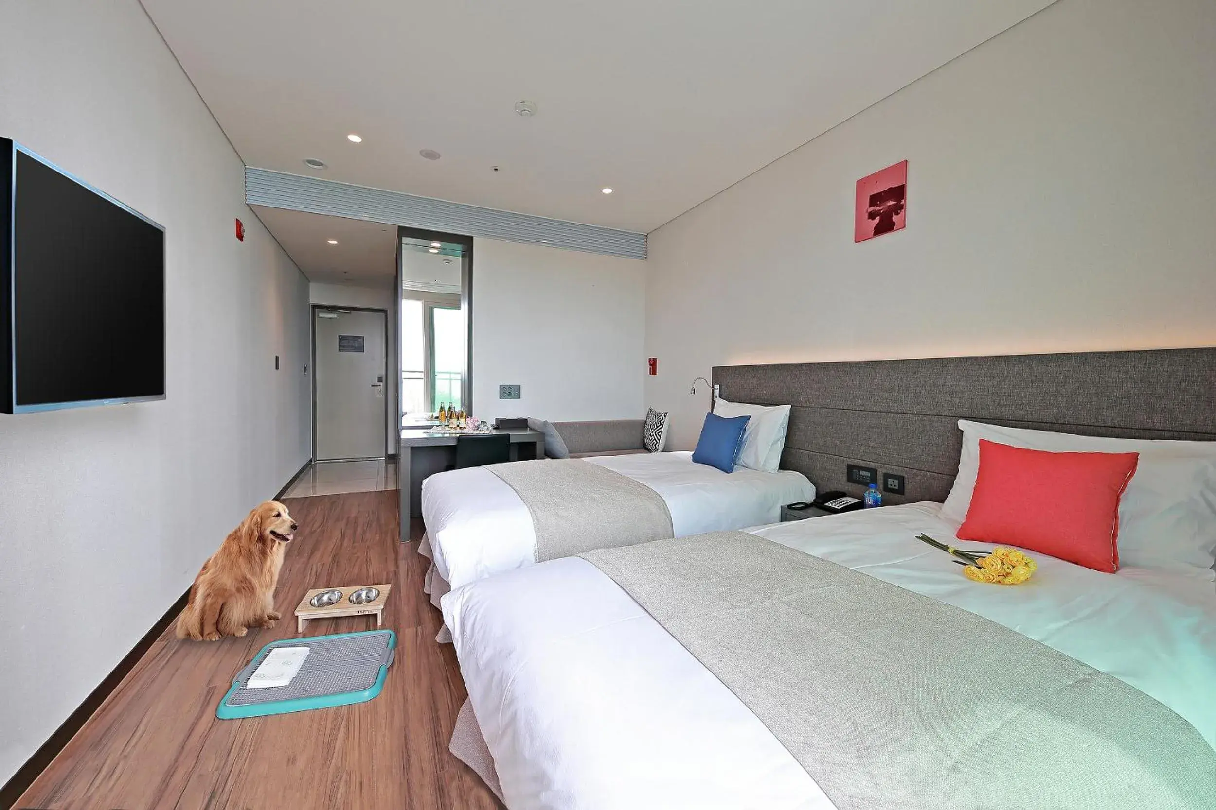 Premier Twin Room with Partial Sea View - Pet Friendly Room in Airsky Hotel Incheon Premier Twin Room with Partial Sea View - Pet Friendly Room in Airsky Hotel Incheon