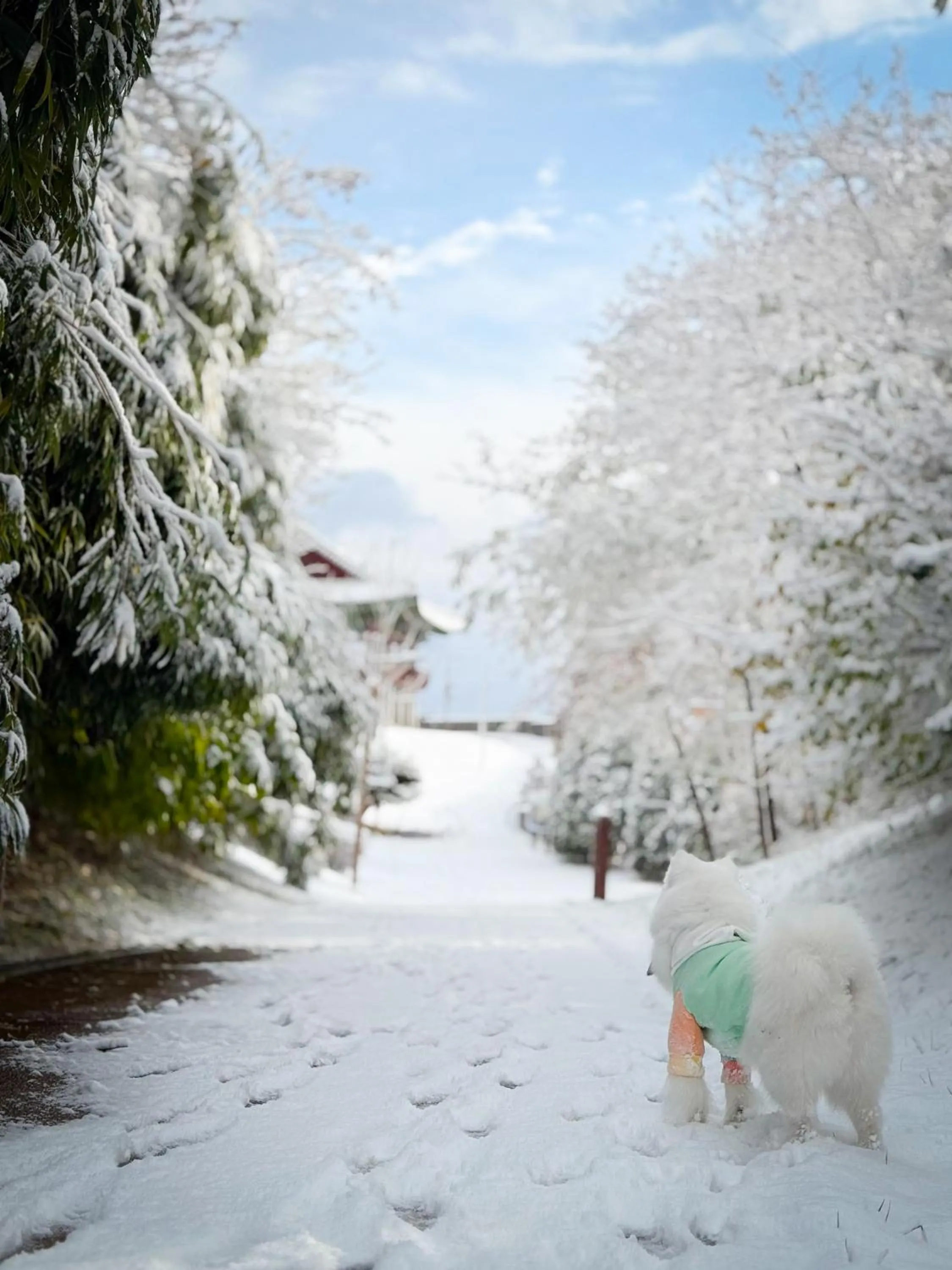View (from property/room) in Airsky Hotel Incheon