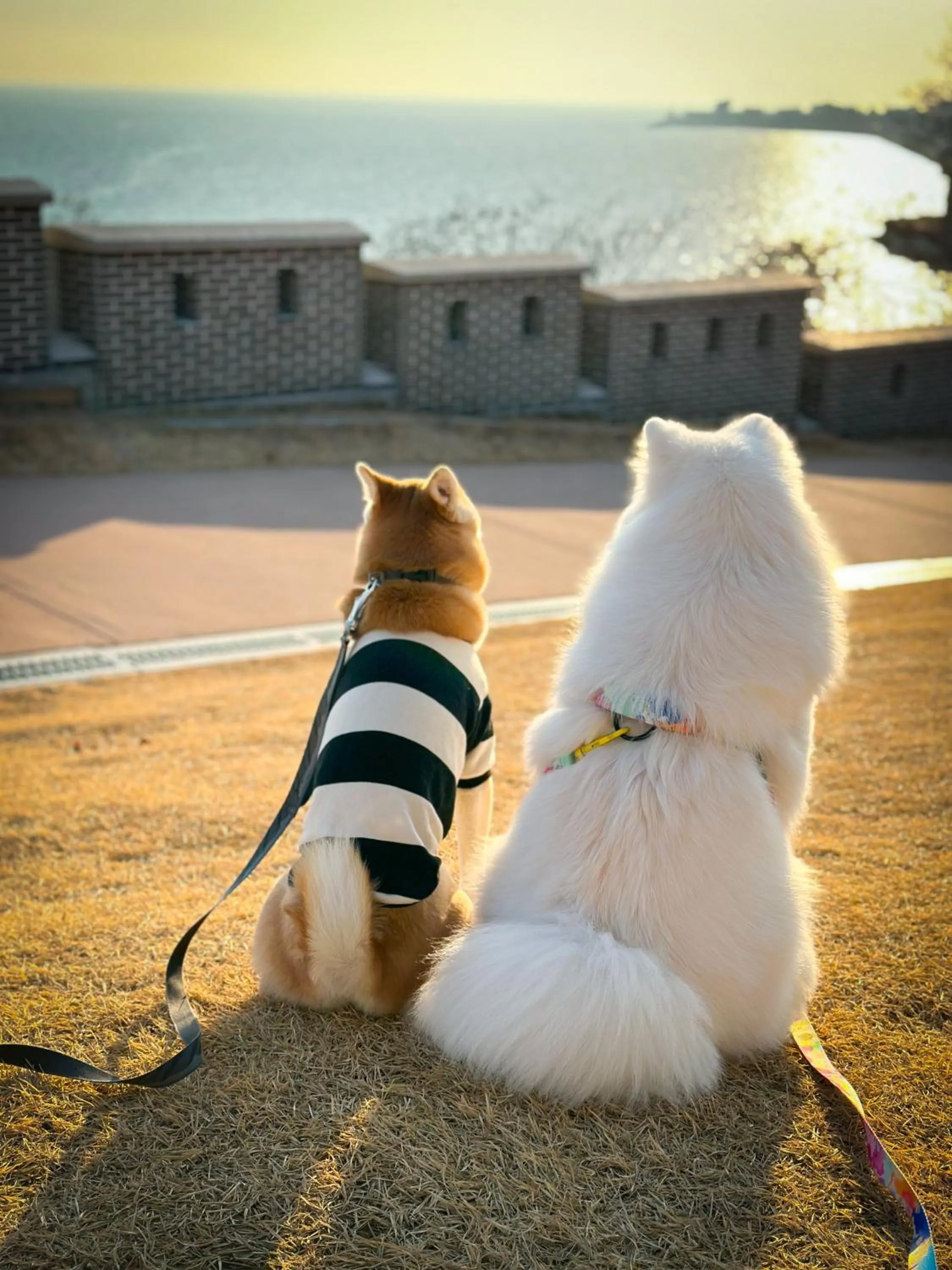 View (from property/room) in Airsky Hotel Incheon