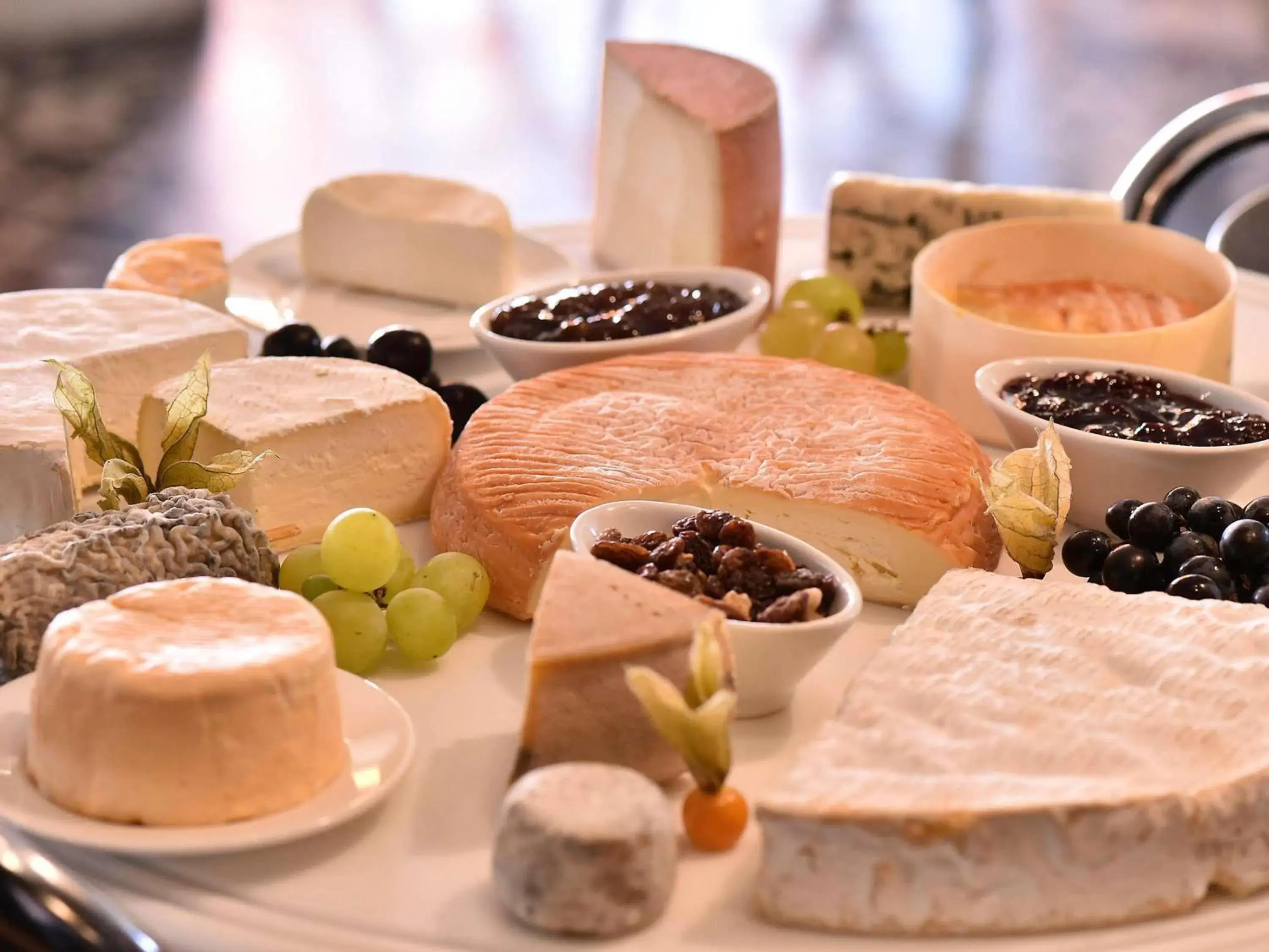 Restaurant/places to eat in ibis Beaune La Ferme Aux Vins Restaurant/places to eat in ibis Beaune La Ferme Aux Vins