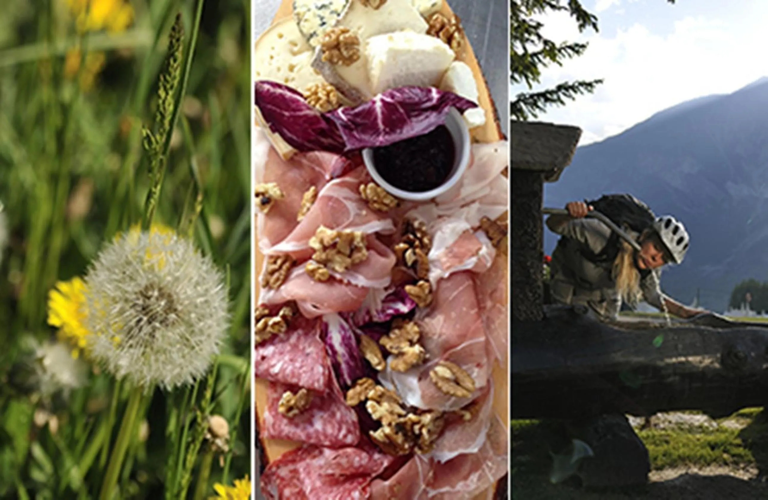 Garden in Residence Campo Smith