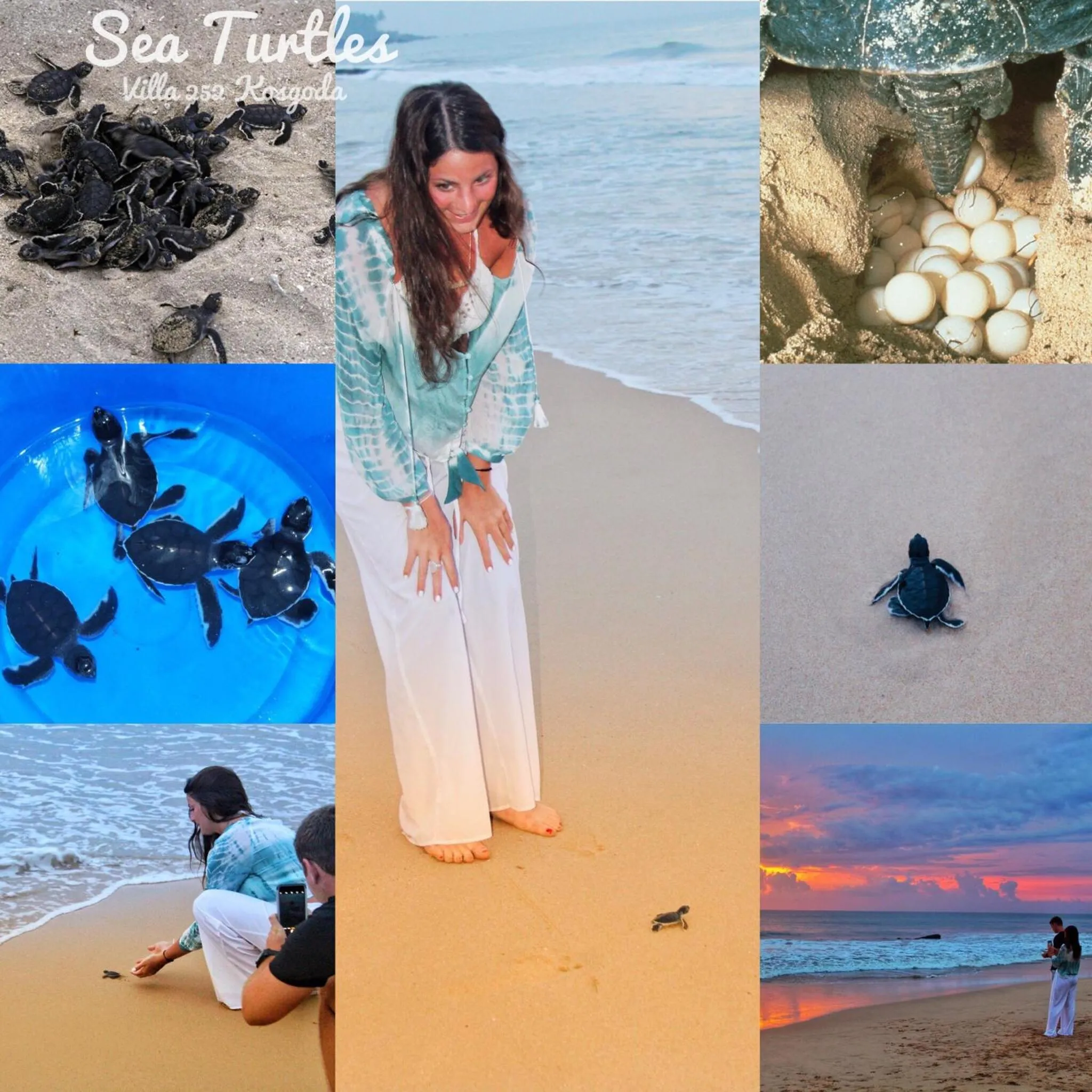 Villa 252 Kosgoda - Beach side stay & Tours