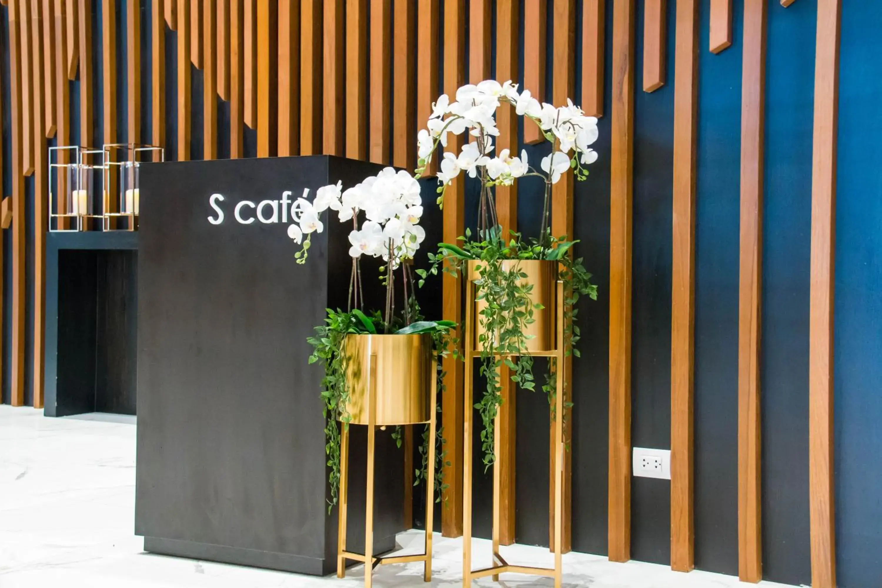 Restaurant/places to eat in S Ram Leisure Hotel Restaurant/places to eat in S Ram Leisure Hotel