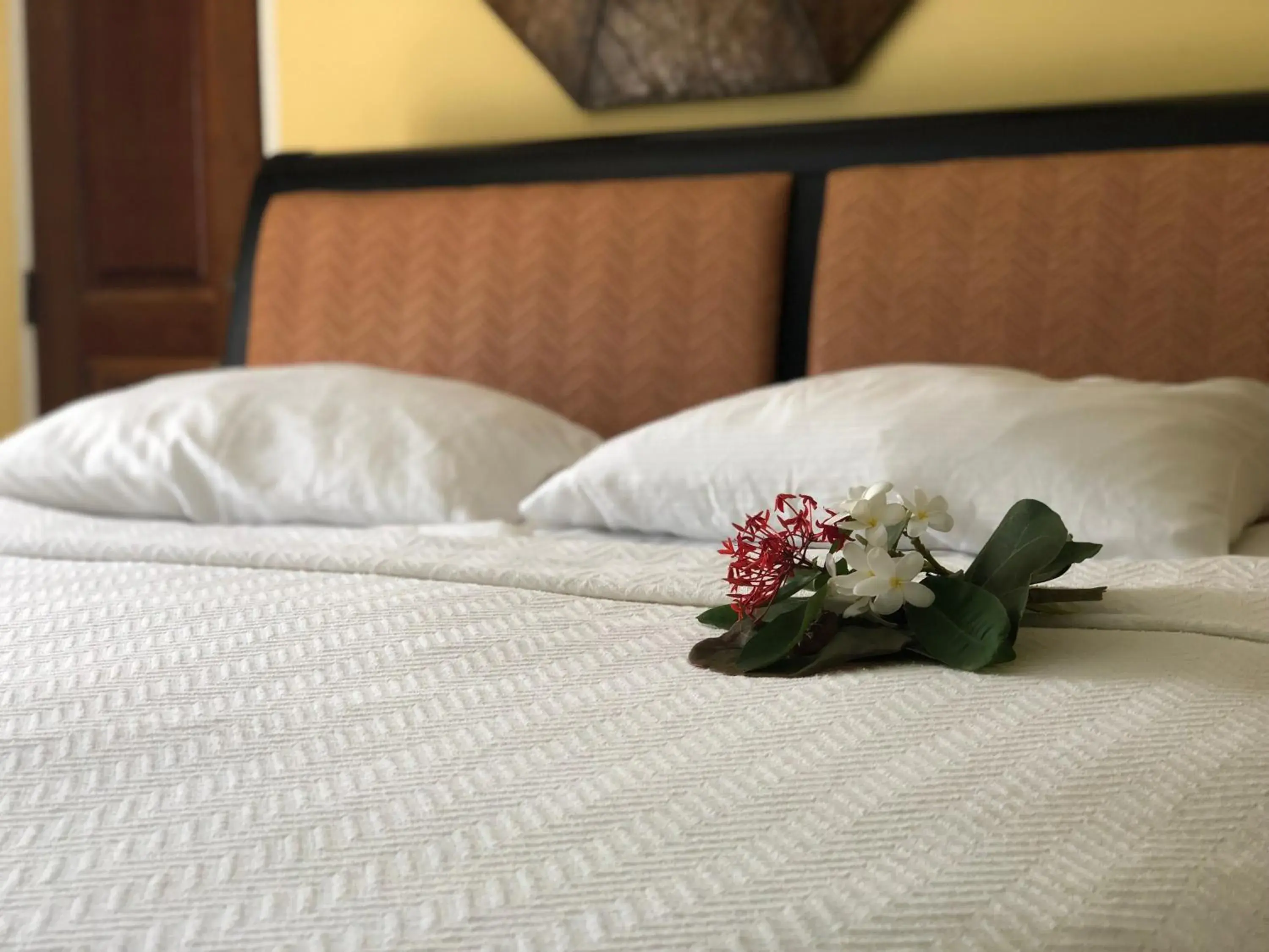 Bed in The Comanche A Club Inn of Christianted St Croix Bed in The Comanche A Club Inn of Christianted St Croix