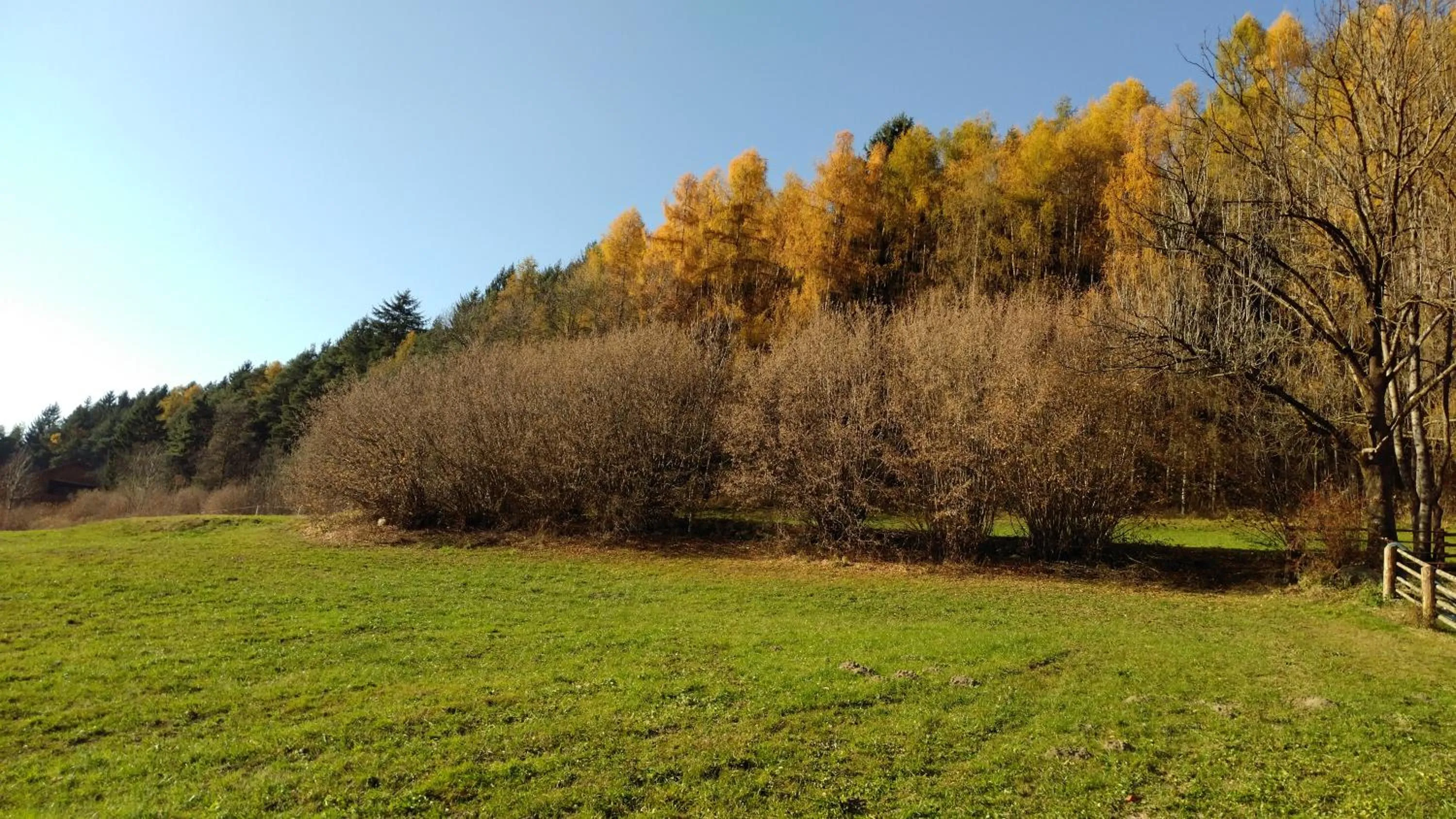 Area and facilities in Hotel Elisabeth