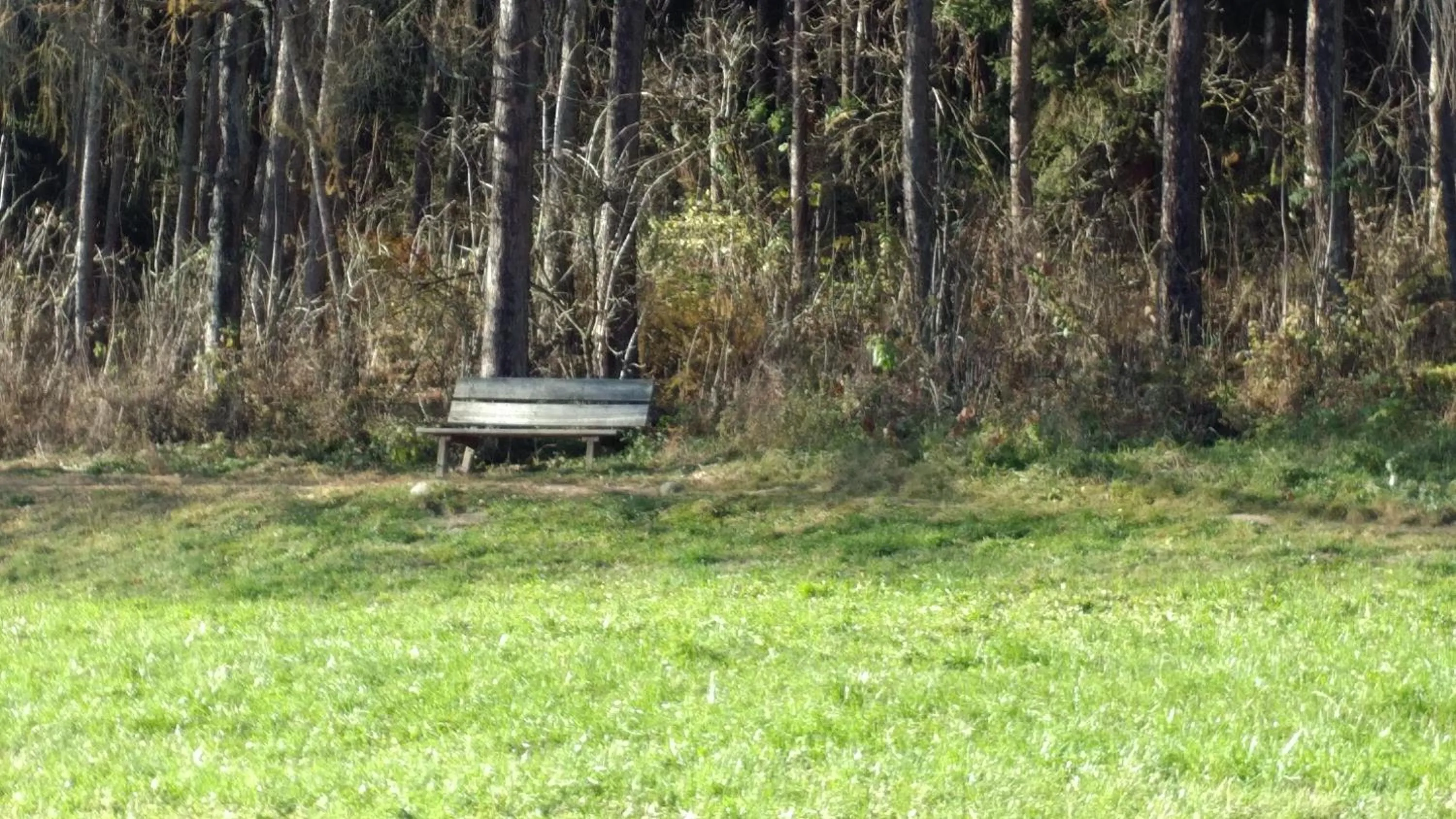 Natural landscape in Hotel Elisabeth
