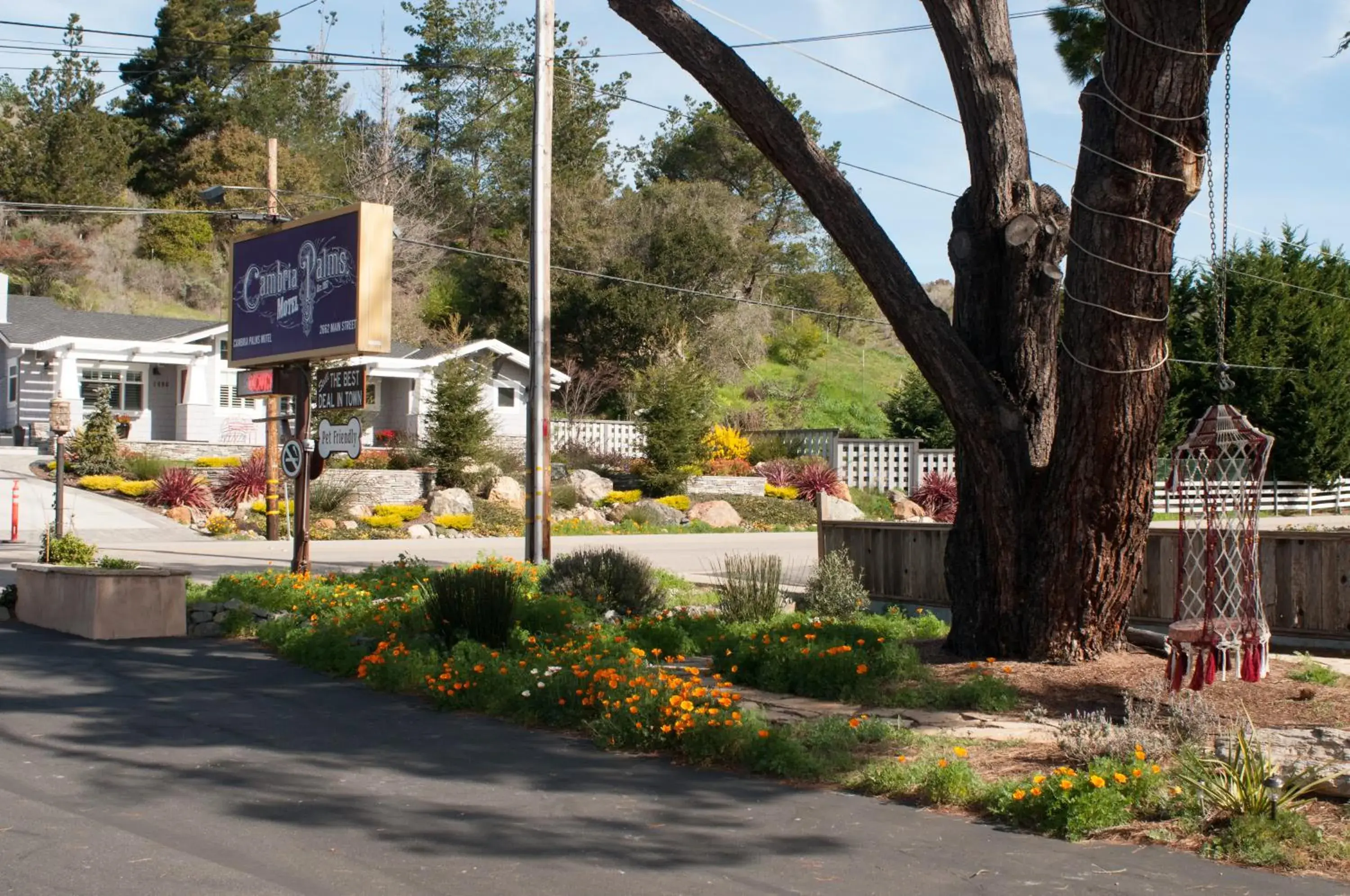 Garden view in Cambria Palms Motel Garden view in Cambria Palms Motel